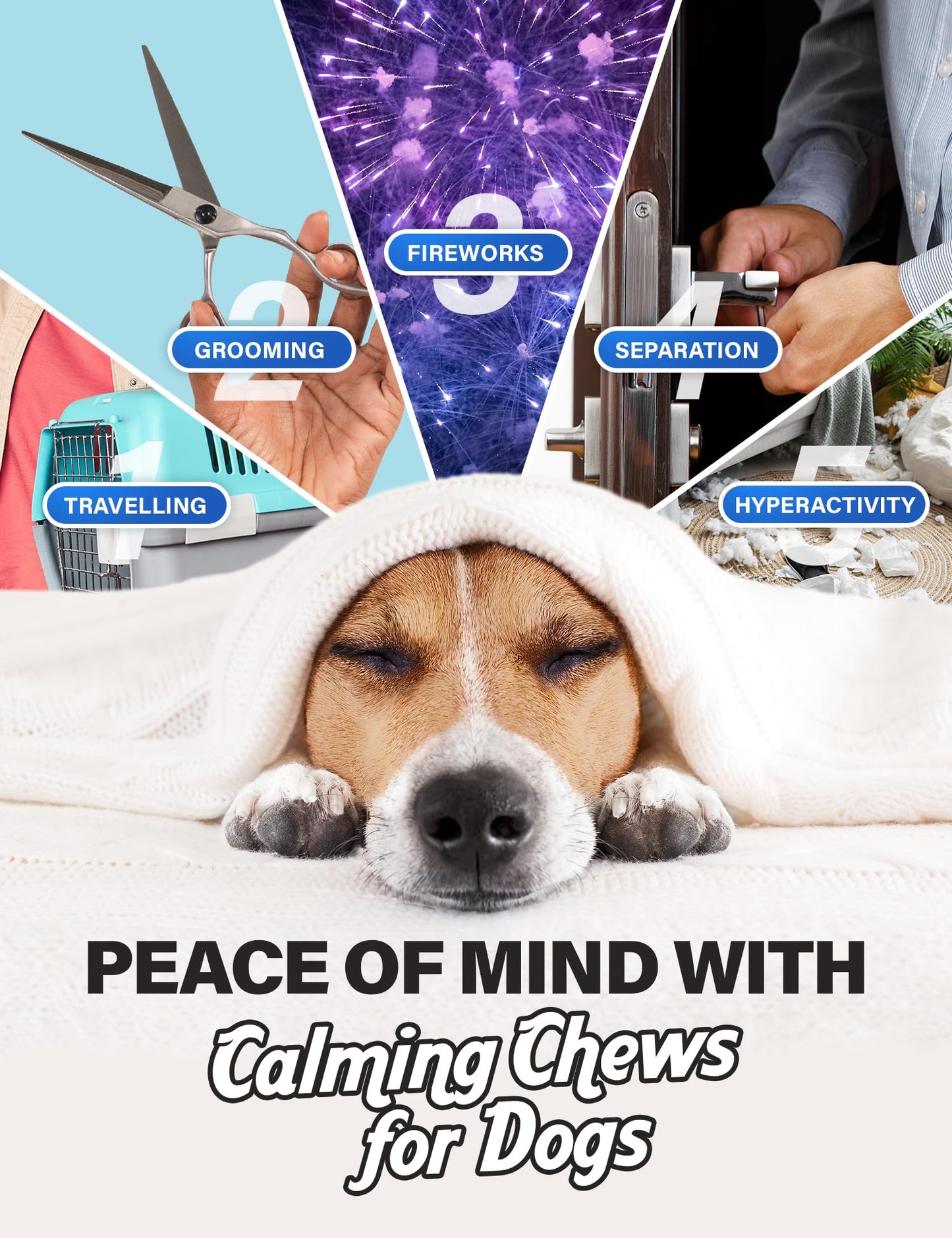 Charlie & Buddy Calming Chews for Dogs, Dog Anxiety Relief, Promote Relaxation, Dog Calming Chews with Melatonin for Dogs, Chamomile, Magnesium Citrate, 90 Soft Chews, Chicken Flavor