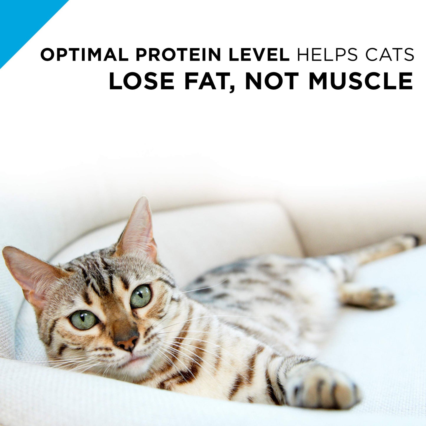 Purina Pro Plan Weight Control Pate Wet Cat Food, SPECIALIZED Weight Management Turkey & Rice Entree - (Pack of 24) 3 oz. Pull-Top Cans