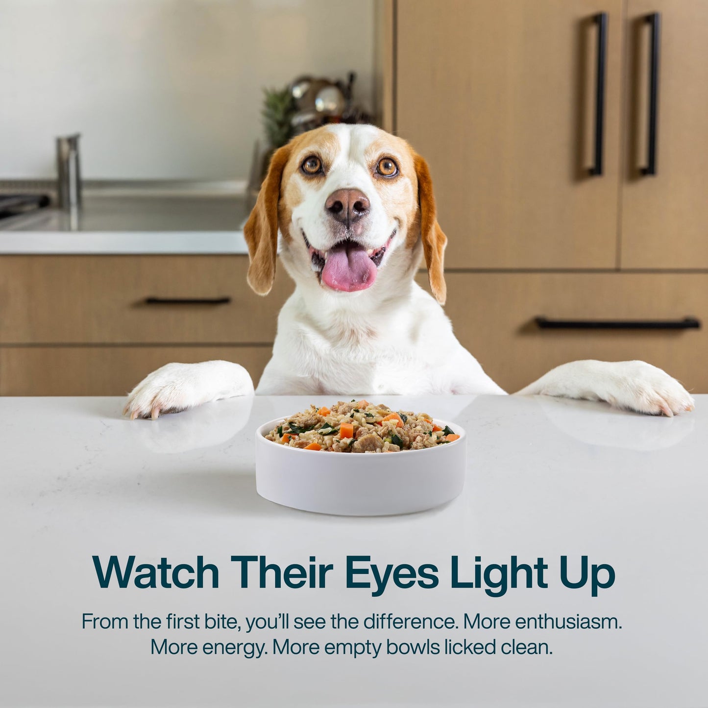 JustFoodForDogs Frozen Fresh Dog Food, Complete Meal or Dog Food Topper, Chicken & Rice Human Grade Recipe, 18 oz (Pack of 14)