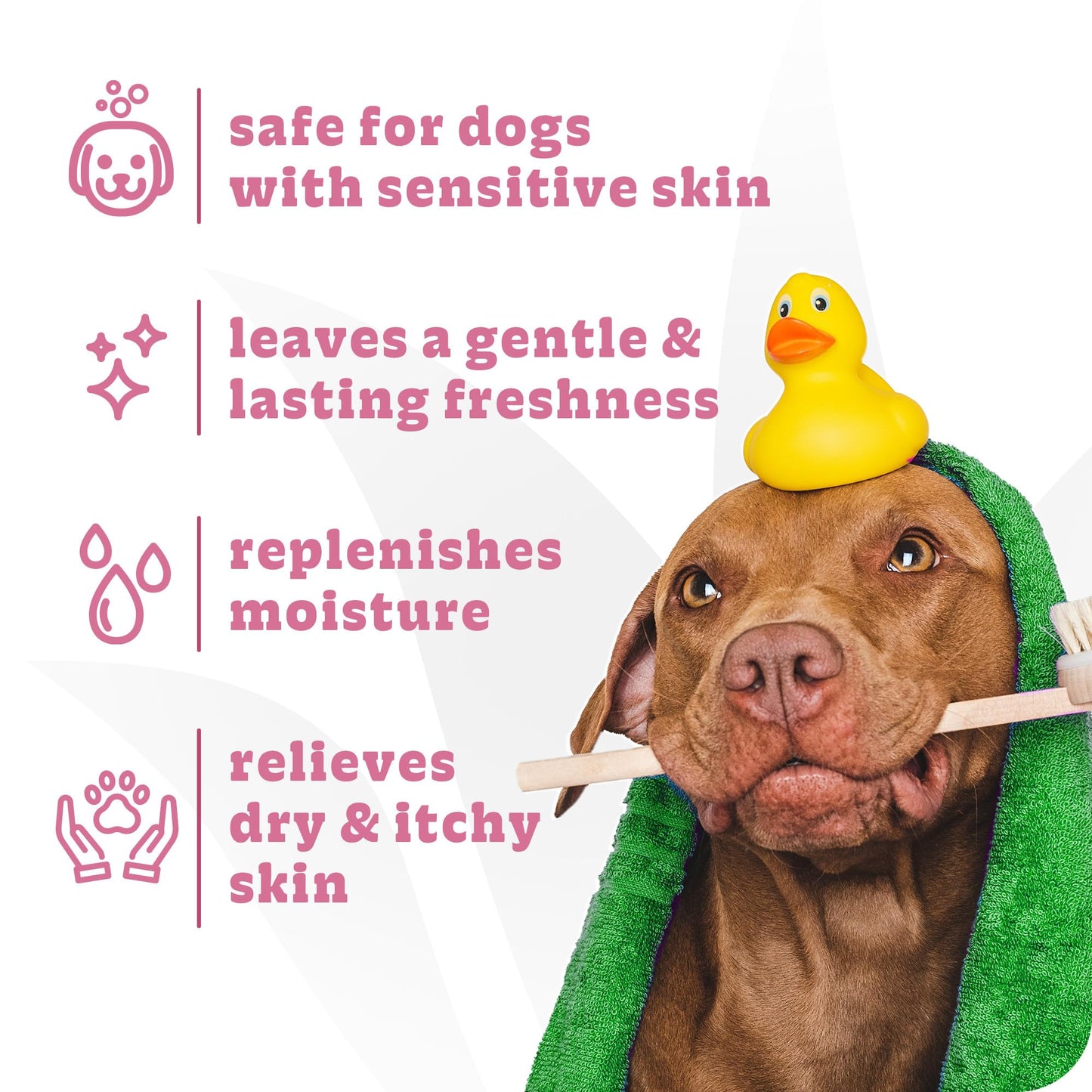 Espree Simple Soothe Shampoo & Conditioner with Baking Soda, Soothing Shampoo for Dogs, Jojoba Oil Formula, Nourishing Dog Conditioner, Puppy Essentials, Gallon