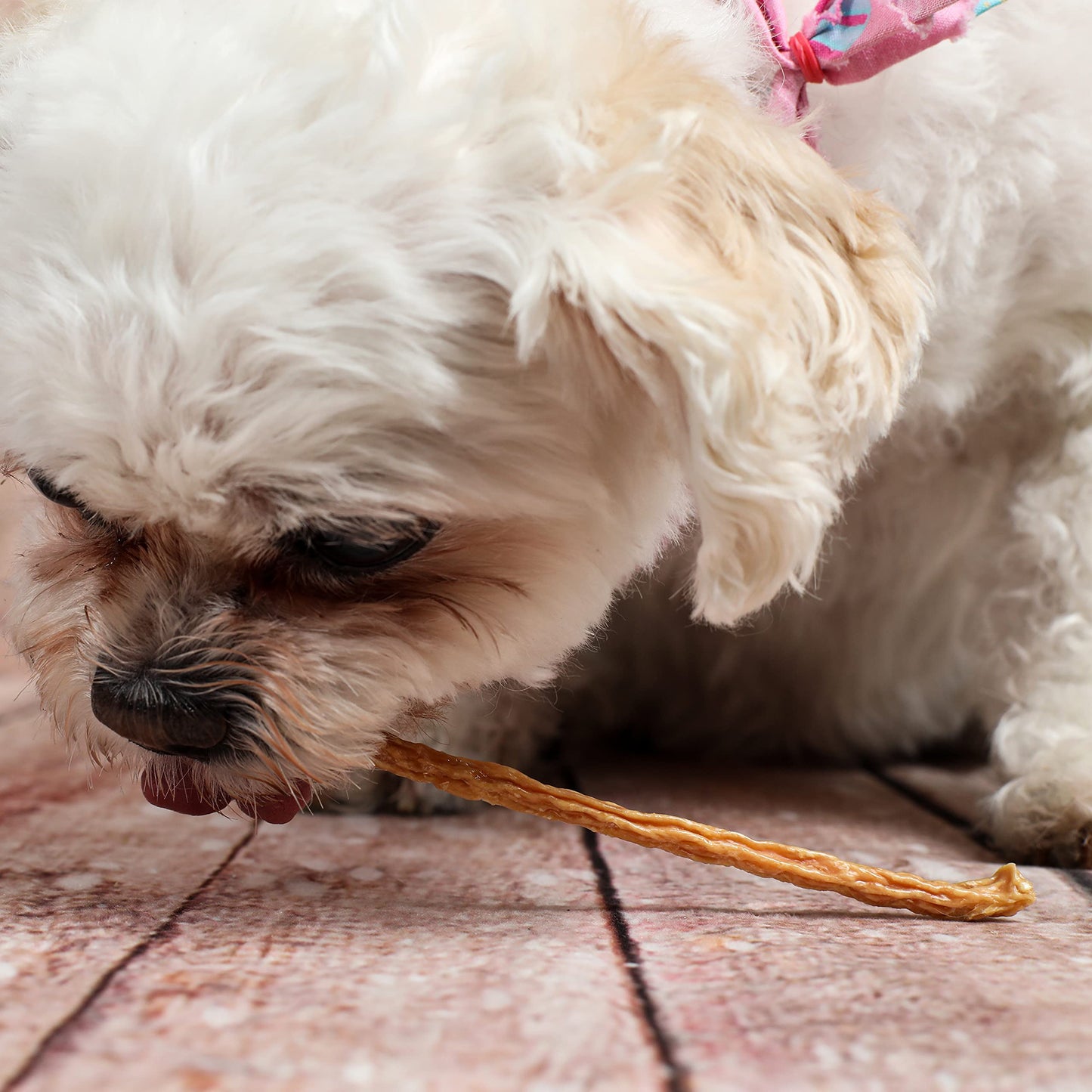 Texas Pet Company Chicken Jerky Sticks Crunchy Dog Treats Made in The USA Single Ingredient for Small to Large Dogs 75 Count 8oz