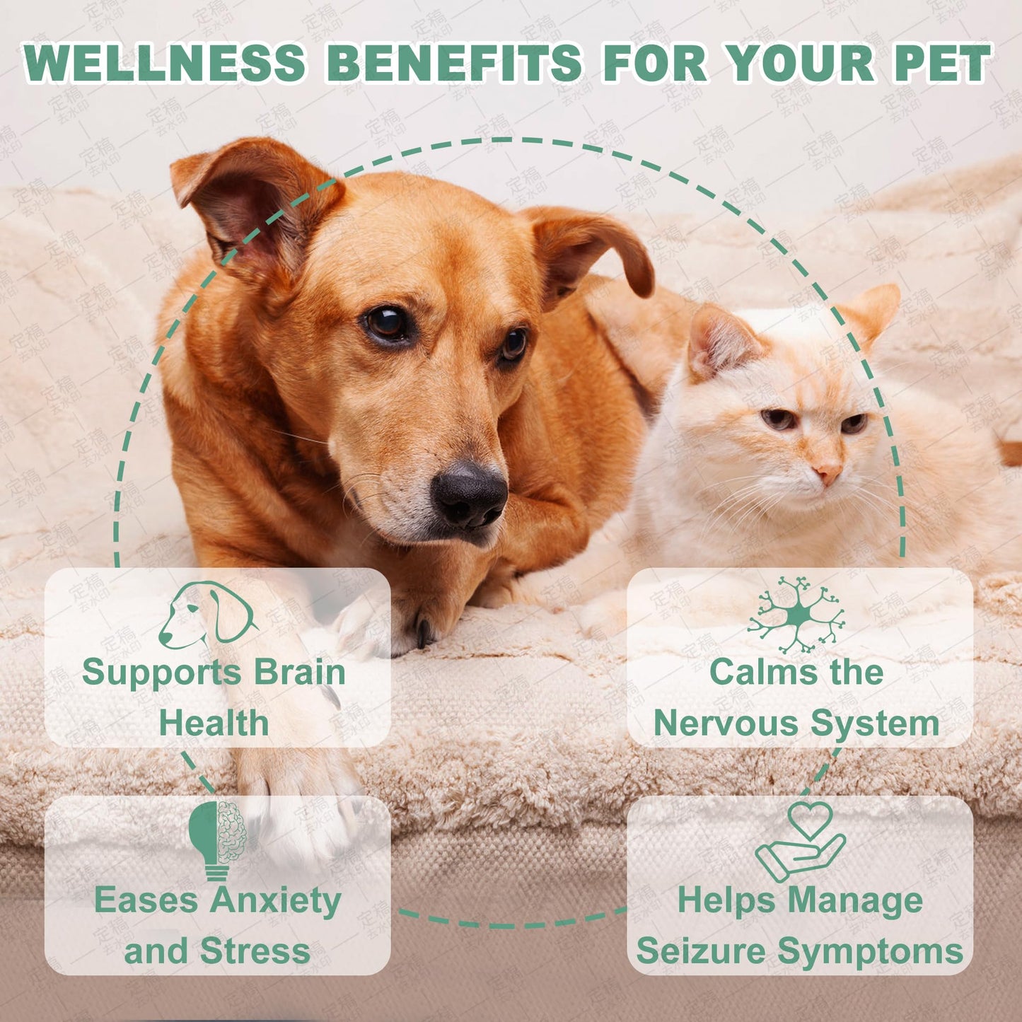 Seizure & Nervous System Support for Dogs and Cats – Herbal Drops with Valerian & Passionflower – Helps Calm Anxiety, Reduce Twitching & Support Brain Health (60mL)