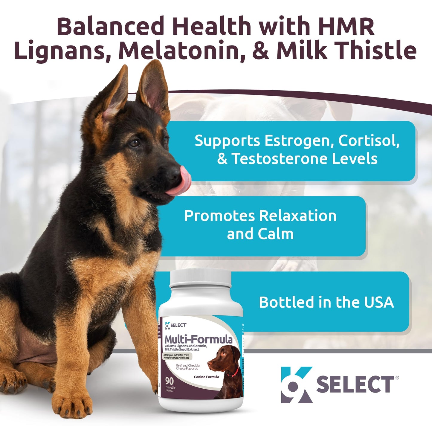 K9 Select Multi-Formula Dog Vitamins for Large Dogs - 30mg HMR Lignans, 3mg Melatonin, 60mg Milk Thistle - Helps Heart, Liver, Digestion, Skin & Coat Health, Dog Multivitamin, 90 Tablets, Beef Flavor