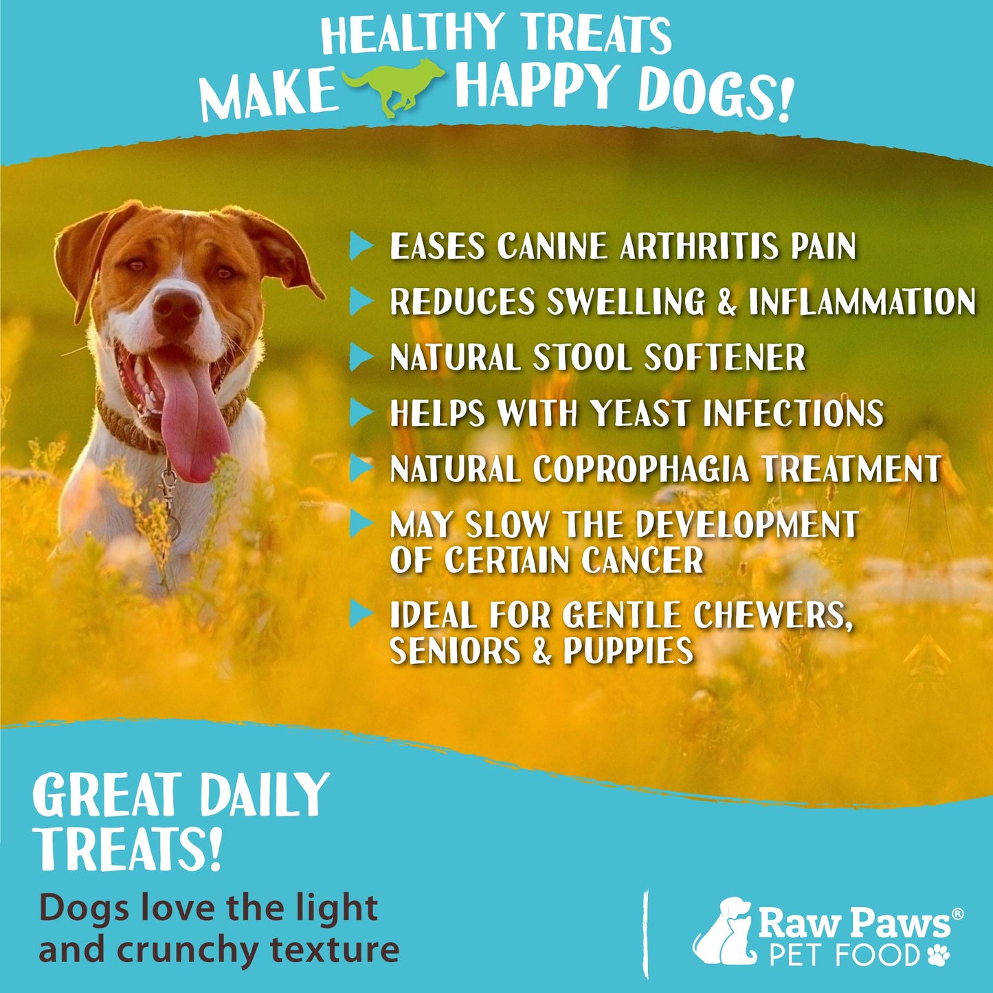 Raw Paws Green Lamb Tripe Sticks for Dogs (10-Count) - Single Ingredient, Grass-Fed & Free Range - Crunchy Lamb Dog Treats - All Natural Dog Chews