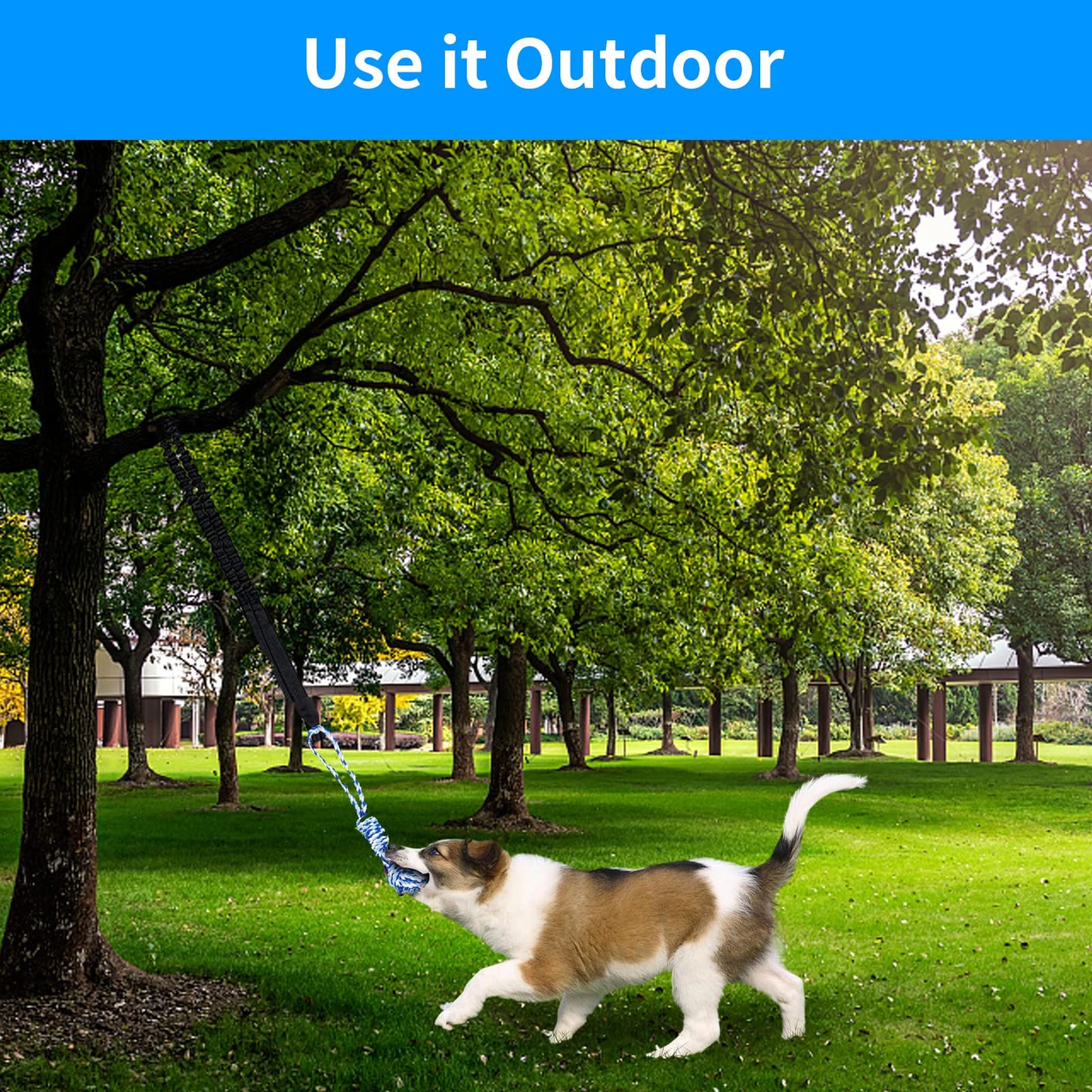 YLTFUTR Spring Pole Dog Rope Toys, Tree Bungee Hanging Dogs Toy Interactive Tether Tug Indoor Outdoor Exercise Chewer Ropes Dog Toys, Pull Tug Solo Play Rope for Medium Large Dog