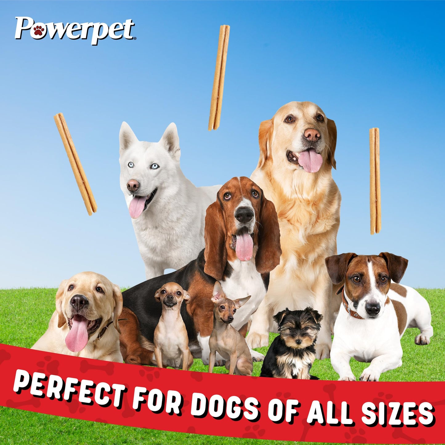 Powerpet 100% Natural Steer Stick - High Protein Bully Stick, Low Fat, Healthy Dog Treats, Long-Lasting Dog Chews, Easily Digestible, Cleans Teeth, Low Odor, for All Breeds & Sizes, 6" - 10 Count