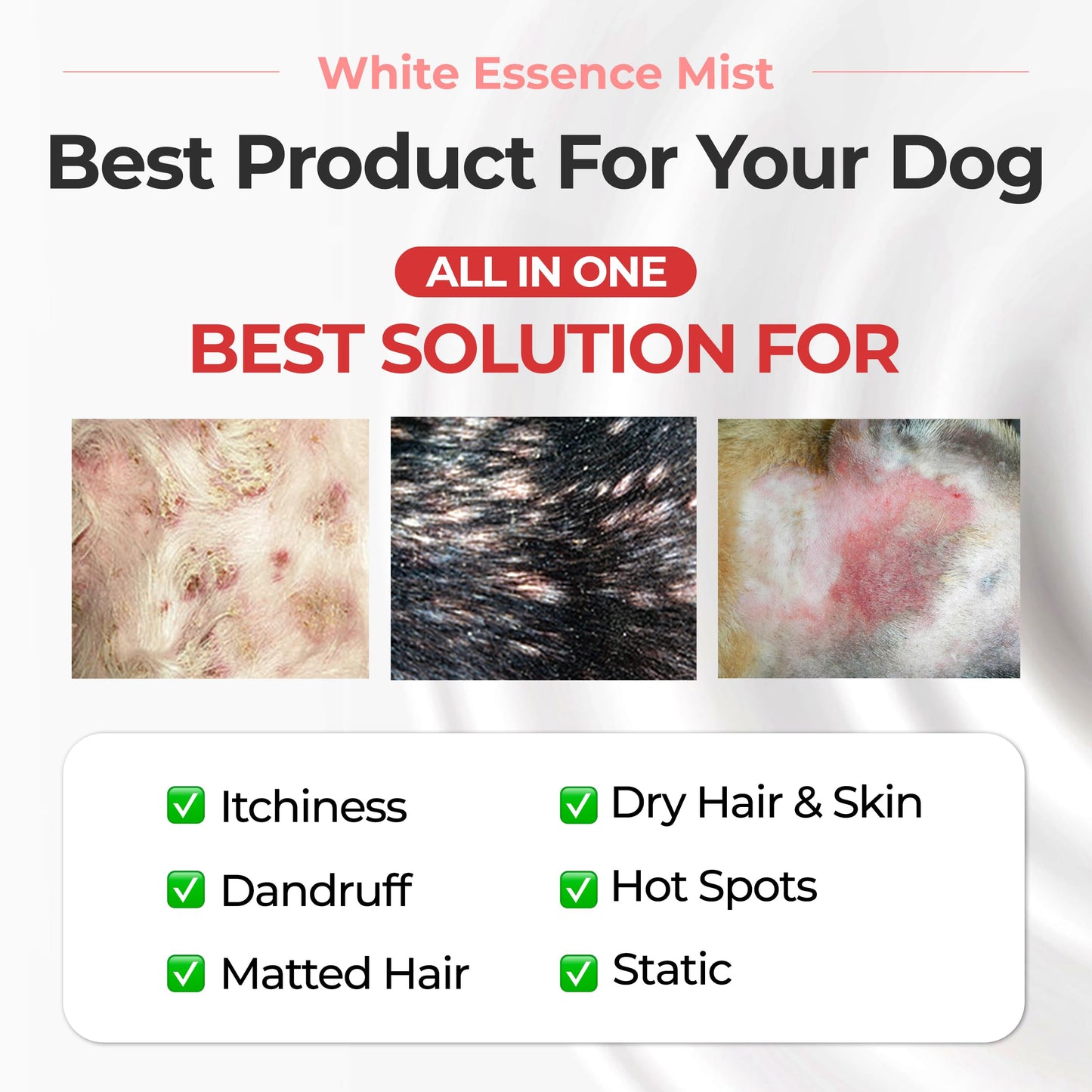 JAYU PET White Essence Mist - Dog Itch Relief, Hypoallergenic Soothing Spray, Dandruff & Dry Skin Spray (5.8fl oz, 170ml)