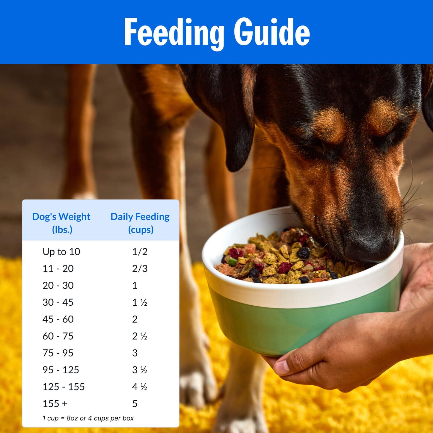 PetPlate Trail Blazin' Beef FreshBaked Dry Dog Food Grain-Inclusive, Gently Baked and Air-Dried Human Grade Dog Food, Formulated with Prebiotics and Postbiotics, No Fillers or by-Products, 2lbs