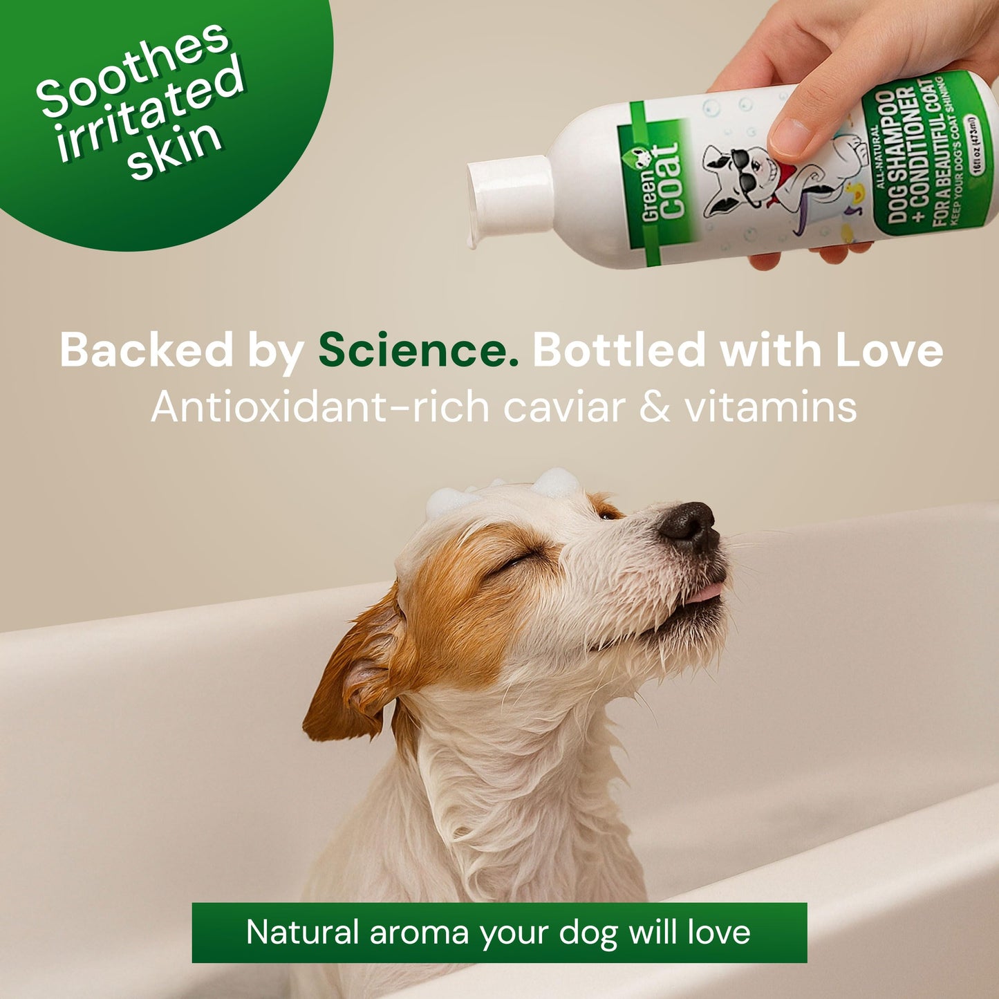 Green Coat Nourishing 2 in 1 Dog Shampoo and Conditioner– Natural Shine Formula with Caviar, Aloe & Bergamot for Sensitive Skin, Moisturizes & Protects, 16oz Bottle, Made in USA