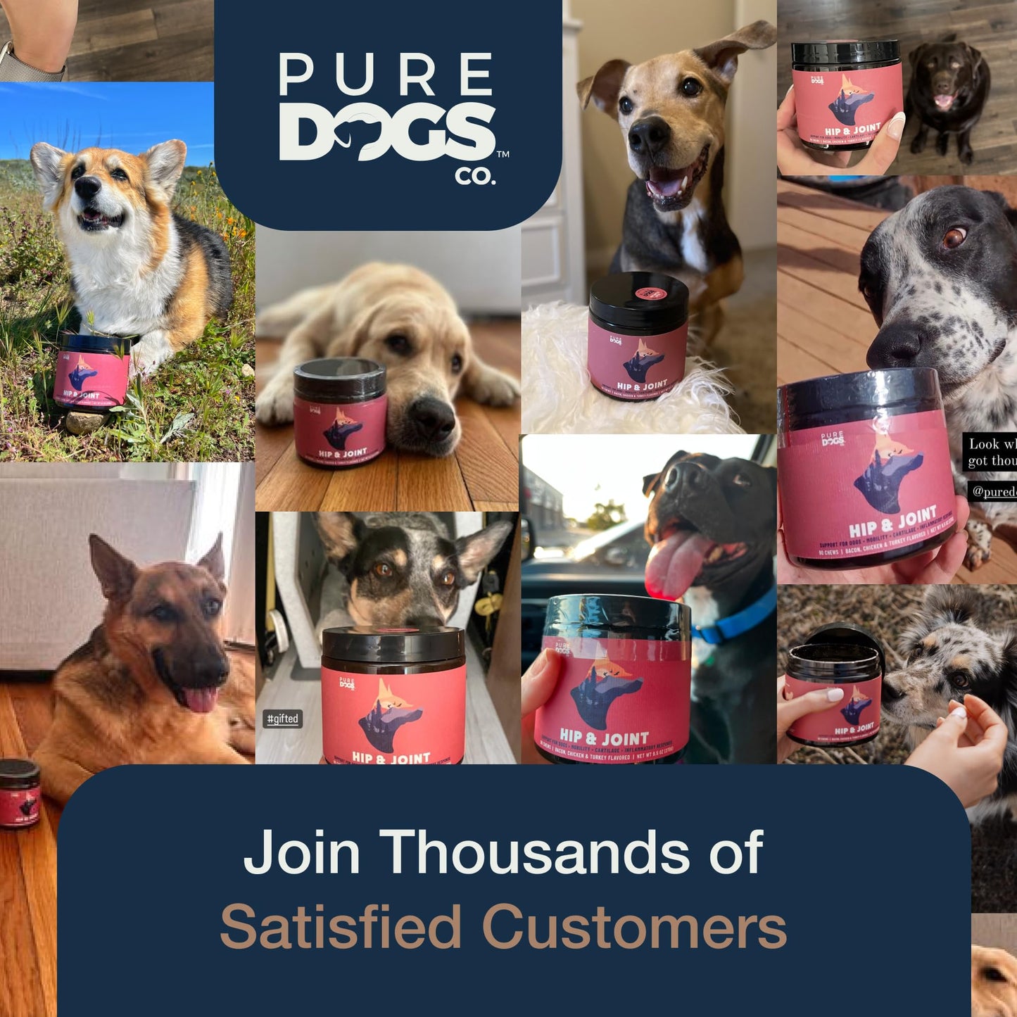 Pure Dogs Hip & Joint Dog Chews - Glucosamine Chondroitin & Green Lipped Mussel for Joint Pain Relief, Function & Mobility, Gut & Digestive Support - for Large & Small Breeds - 90 Chews