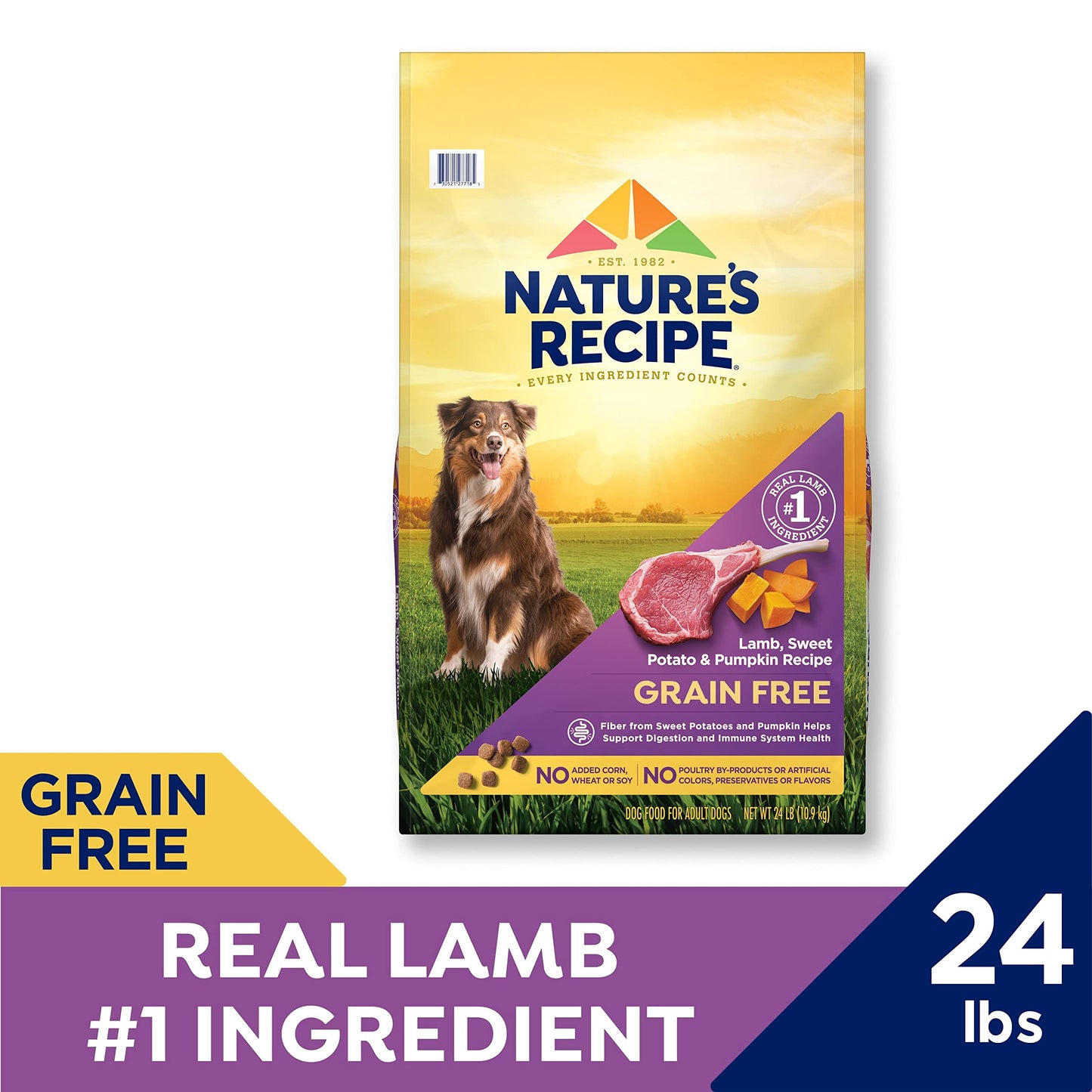 Nature’s Recipe Grain Free Lamb, Sweet Potato & Pumpkin Recipe Dry Dog Food, 24 lb. Bag