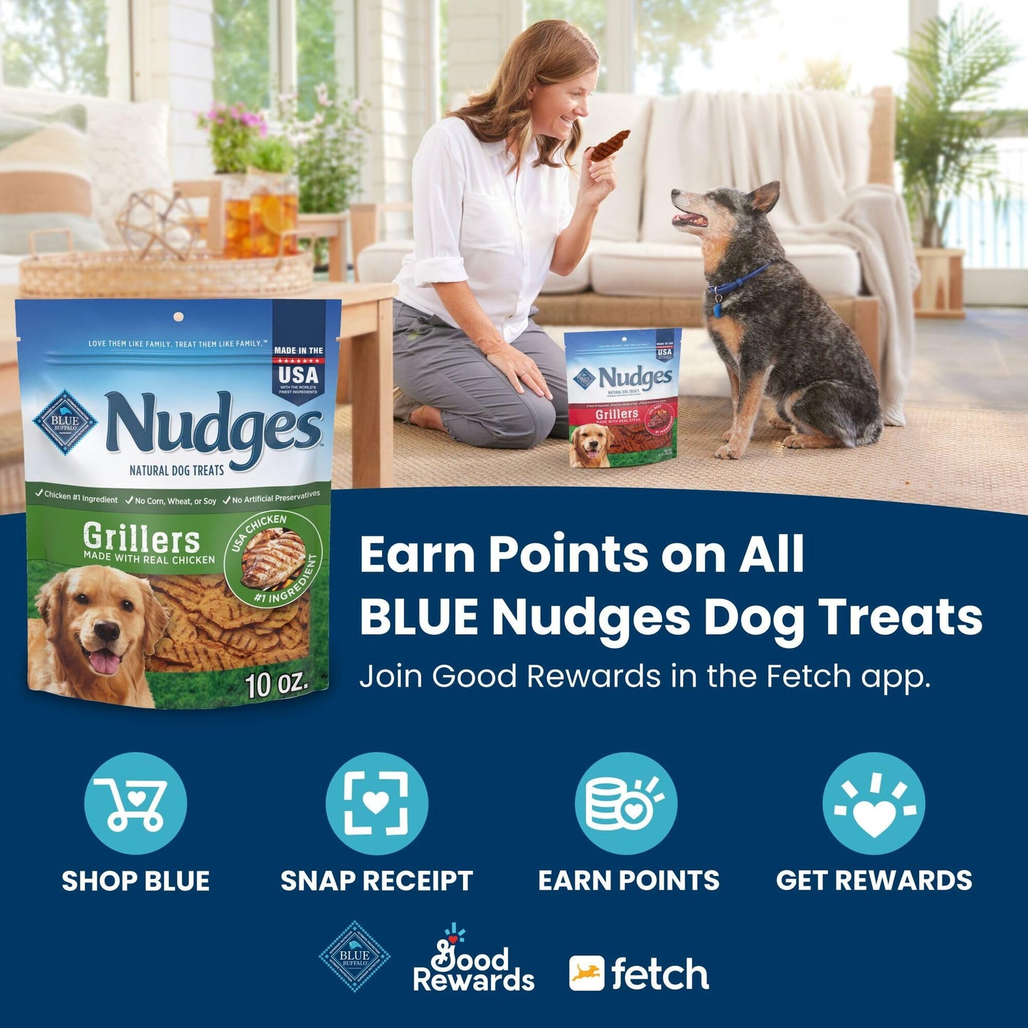 Blue Buffalo Nudges Jerky Cuts Natural Dog Treats Chicken Bag