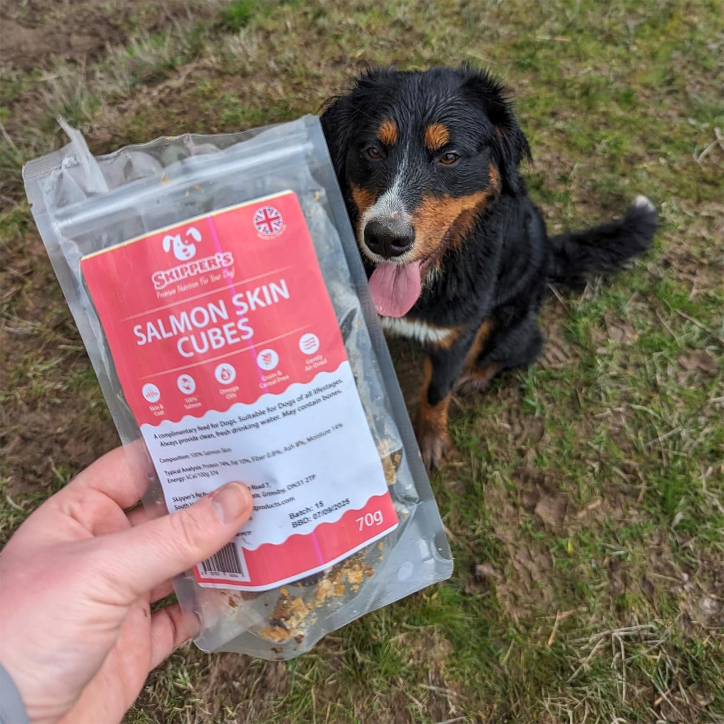 SKIPPER'S Salmon Skin Cubes - 100% Salmon Grain Free & Hypoallergenic Cubes for Dogs, All Natural & Healthy Dog Treats, Omega 3 & 6 Oil, Great for Skin, Coat & Joints | (8.82 Oz)