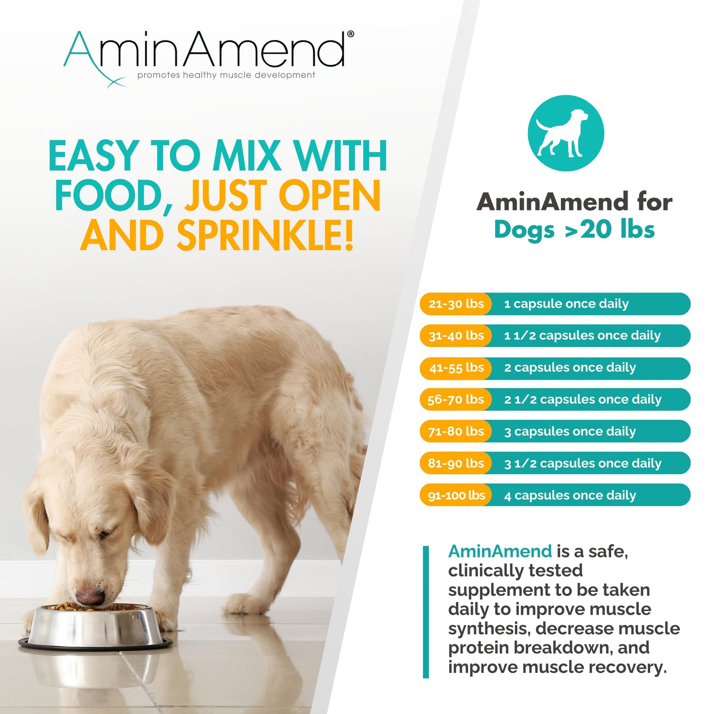 AminAmend Muscle Support Dog Supplements for Large Breed (21lbs+) with CaHMB & Vitamin D3 – Supports Strength, Mobility & Daily Activity for All Ages & Senior Dog – (30 Capsules)