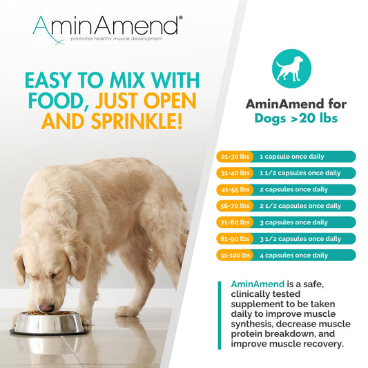AminAmend Muscle Support Dog Supplements for Large Breed (21lbs+) with CaHMB & Vitamin D3 – Supports Strength, Mobility & Daily Activity for All Ages & Senior Dog – (30 Capsules)