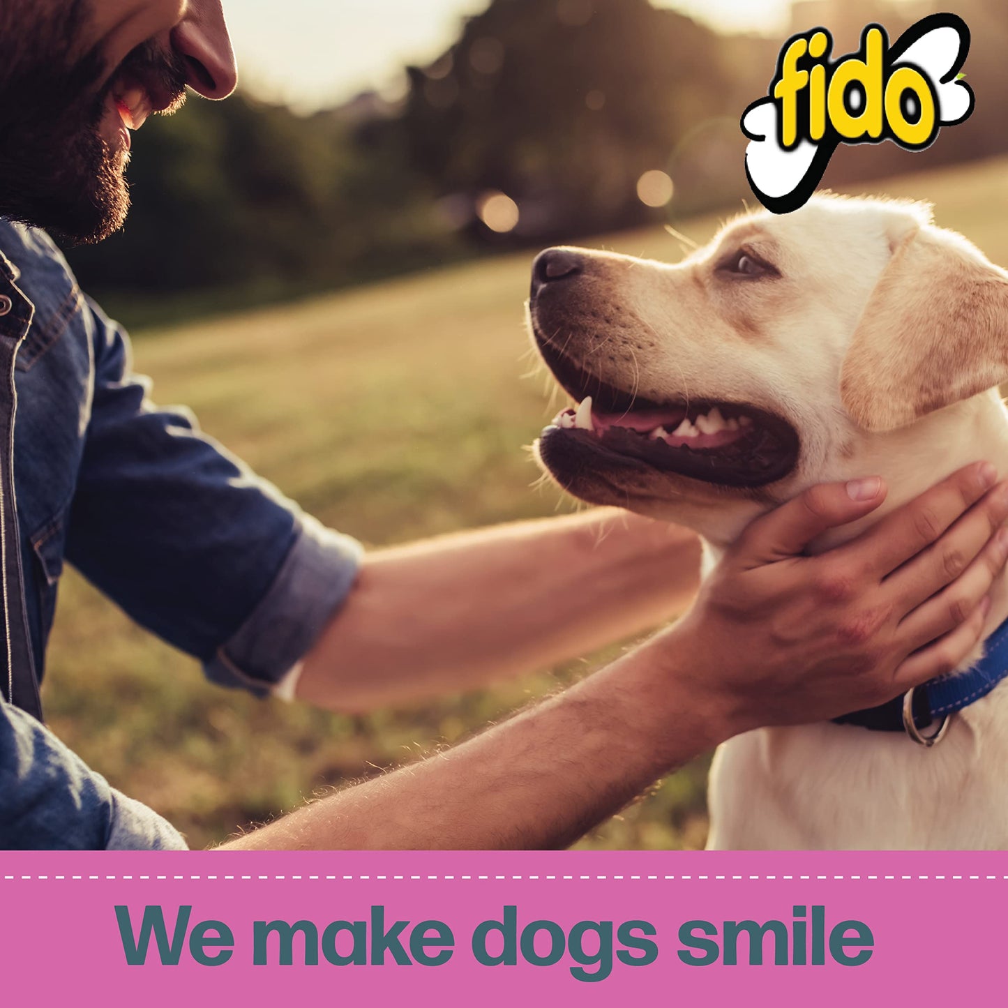 Fido - Belly Bones for Dogs, 100 Yogurt Flavor Mini Dog Dental Treats(100 Count) - Made in USA - For Extra Small Dogs - Plaque and Tartar Control for Fresh Breath, Digestive Health Support