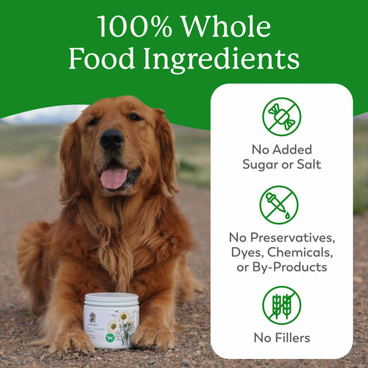 Dr. Harvey's Herbal Multi-Vitamin and Mineral Supplement for Dogs (7 Ounces)