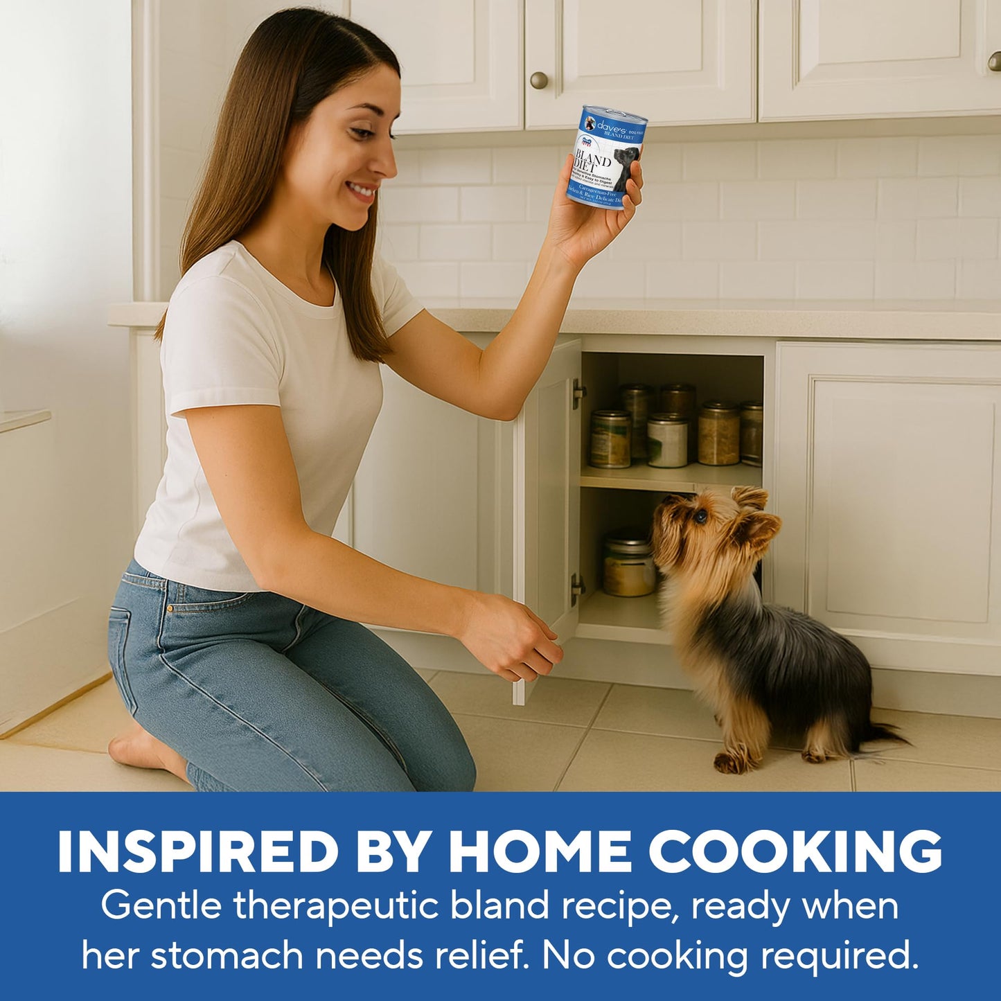 Dave's Pet Food Bland Diet Dog Food (Chicken & Rice), Sensitive Stomach, Easy to Digest, Gluten-Free, Digestive Care, Wet Canned, 13.2 oz (Case of 12)