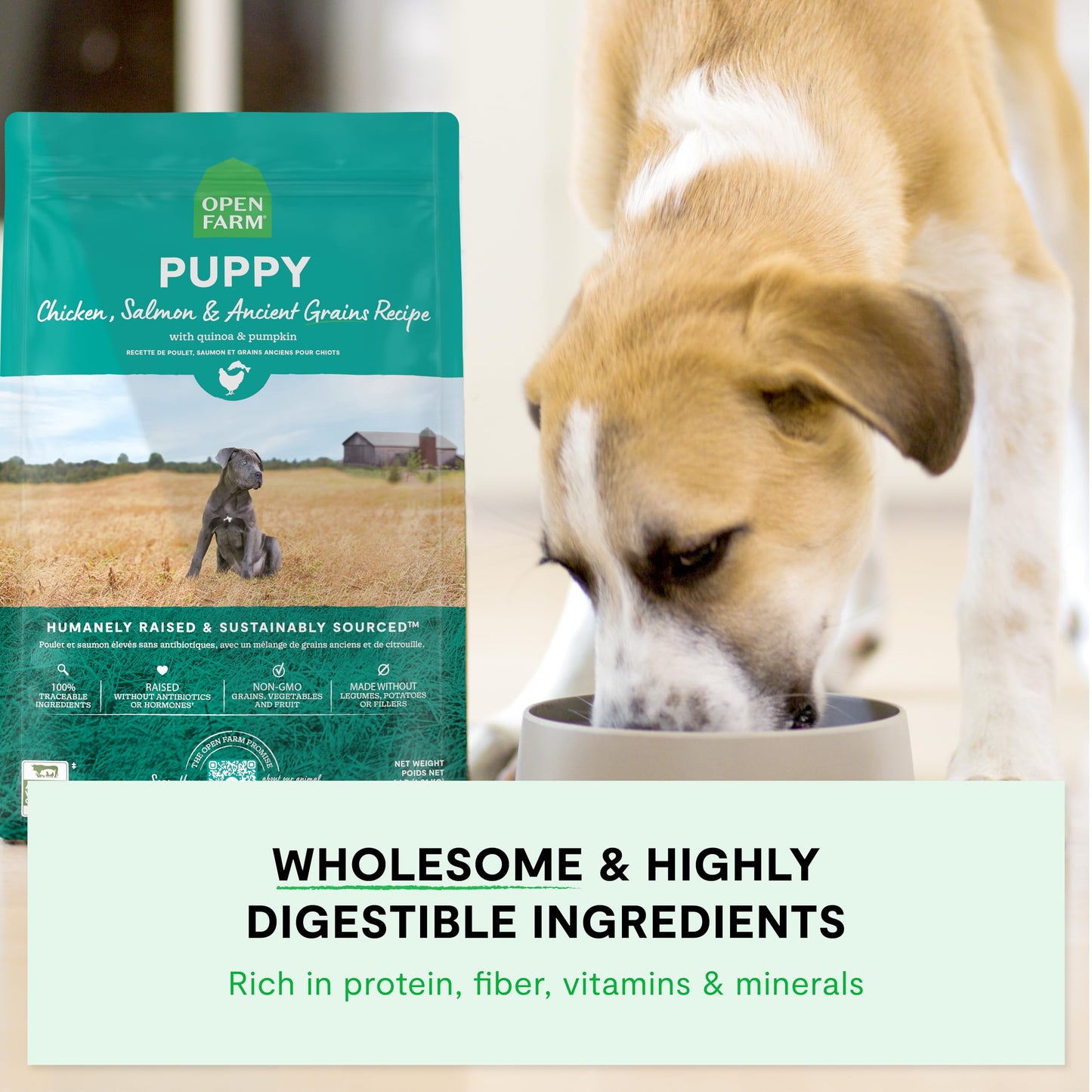 Open Farm, Ancient Grains Dry Dog Food for Puppies, Protein-Rich & Nutrient Dense, 90% Animal Protein Mixed with Non-GMO Fruits, Veggies and Superfoods, Chicken & Salmon Recipe for Puppy, 4lb Bag