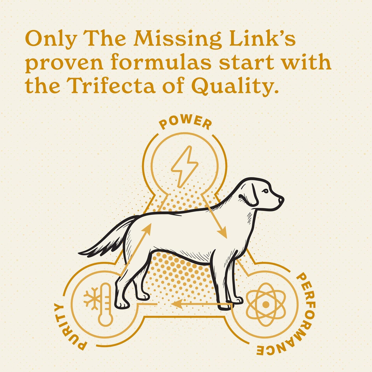 The Missing Link Original All Natural Superfood Dog Supplement- Balanced Omega 3 & 6 to support Healthy Skin & Coat – Skin & Coat Formula – 1 lb.