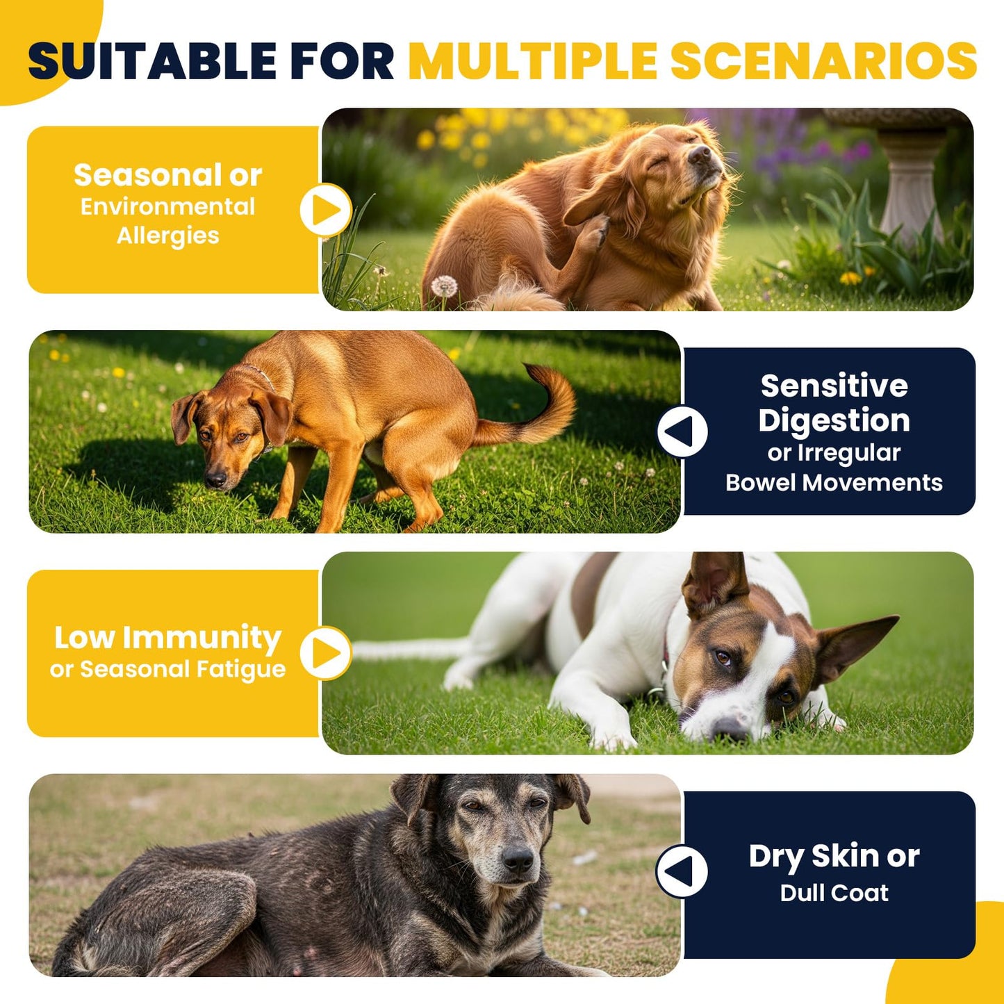 Dog Allergy Chews Probiotics for Dogs Yeast, Itchy Skin and Itchy Ears Itch Relief Immune Pre Probiotic Chews for Pet Digestive Gut Health Anti Itch Supplement for Itching and Licking Dogs Allergies