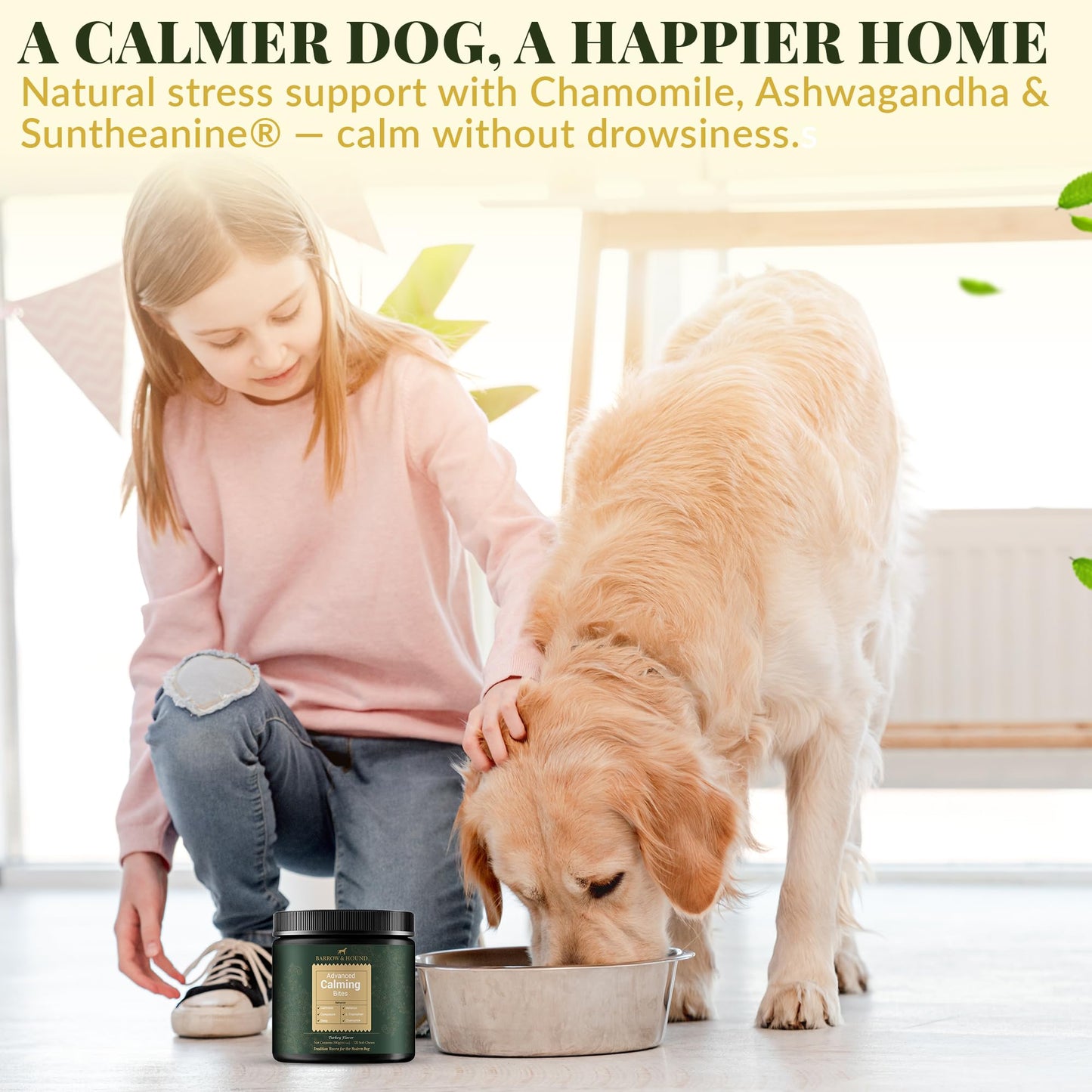 puyrzoe Dog Calming Diffuser with Three Timing Functions, 6-in-1 Dog Pheromones Calming Diffuser Kit, 120-Day Anxiety Relief, Stress Reduction & Relaxation for All Dogs (2 Diffusers + 4 Refills)