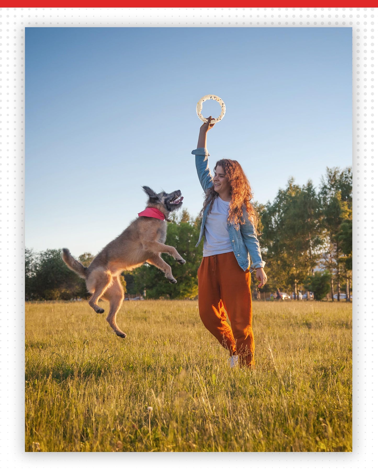 ALPI Chomp Ring - Durable, Soft, & Squishy Bite Puppy Toys for Dogs & Other Pets - Stimulating Dog Toys for Sensory Play & Fun (Large)