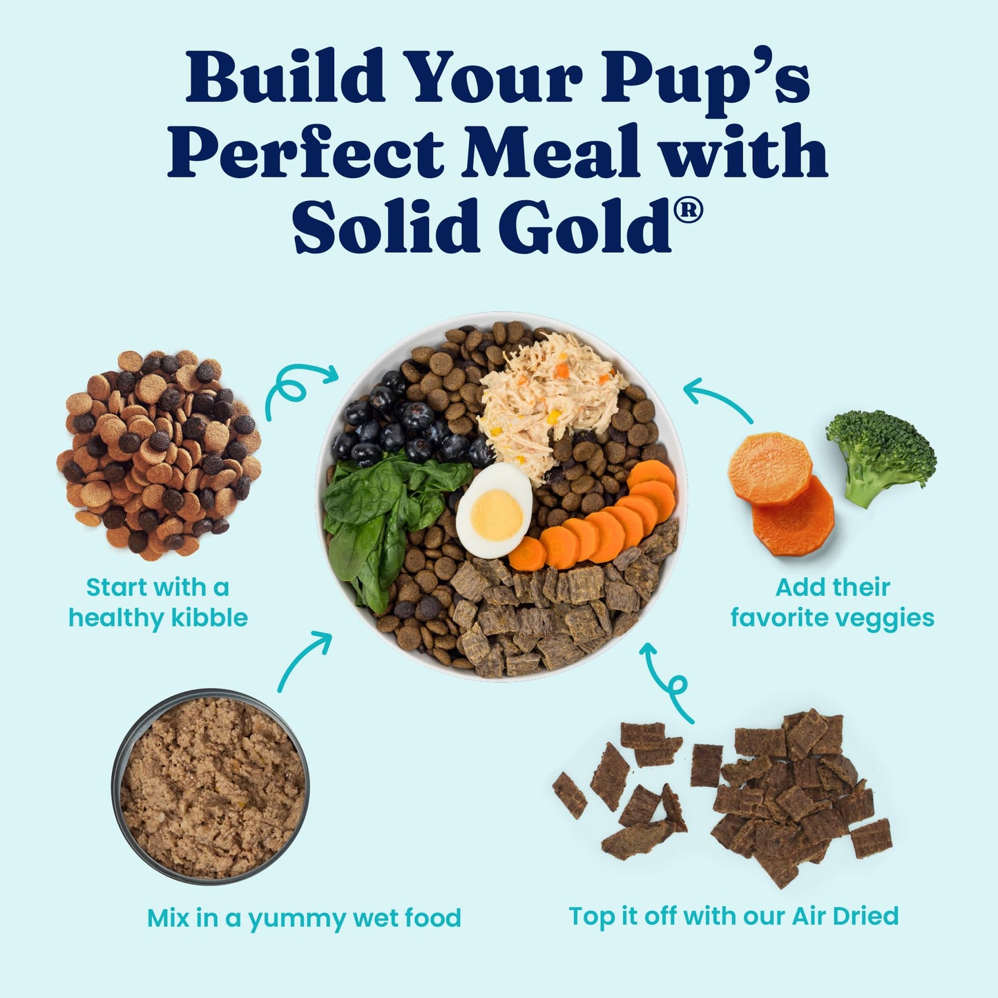 Solid Gold Canned Dog Food for Adult & Senior Dogs - High Protein Wet Dog Food w/Real Lamb, Whole Grains & Probiotics for Gut Health & Immunity - Small, Medium & Large Breed Dogs - 6ct 12.5oz Cans