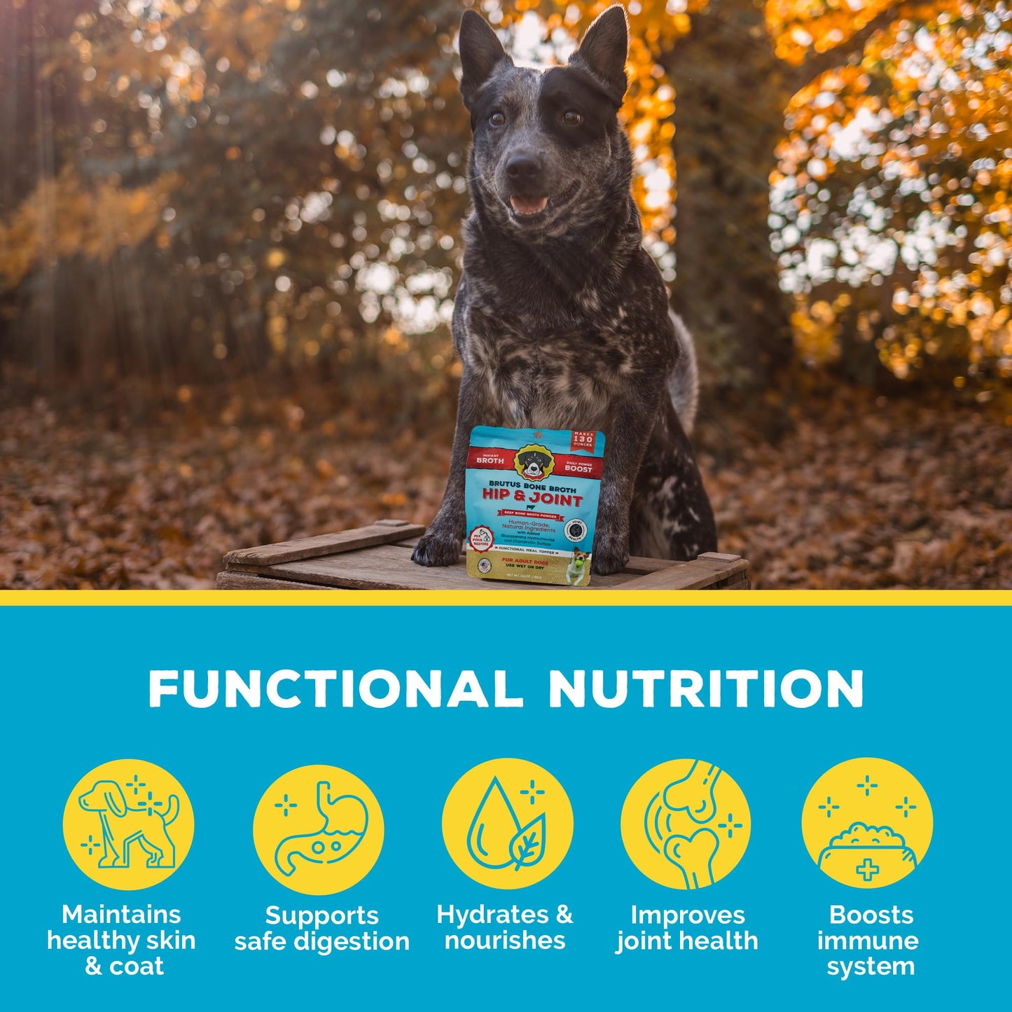 Brutus Bone Broth for Dogs Mega Pack (Beef) - All Natural Beef Broth Powder for Dogs - Toppers for Dry Food - Makes 130oz of Liquid Bone Broth