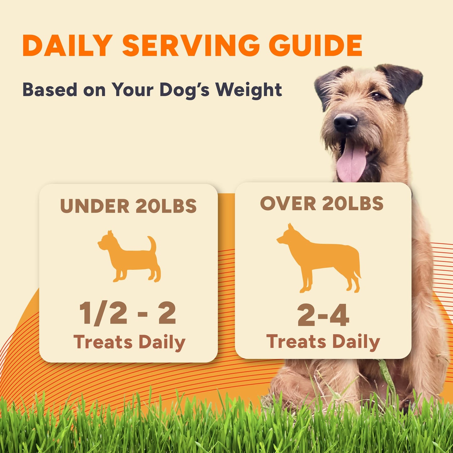 Gaines Family Farmstead Peanut Butter Coated Sweet Potato Dog Bones – 40 oz Bag, Grain-Free, Chewy, Natural Dog Treats for Digestion, Skin, Energy & Immunity – Limited Ingredient, Made in USA