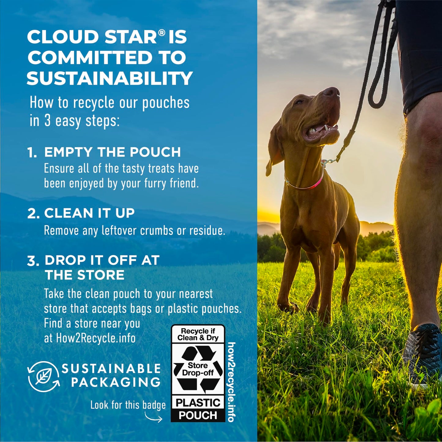 Cloud Star Dynamo Dog Soft Chews Hip & Joint Grain Free Dog Treats, Bacon & Cheese, 14 oz. Pouch