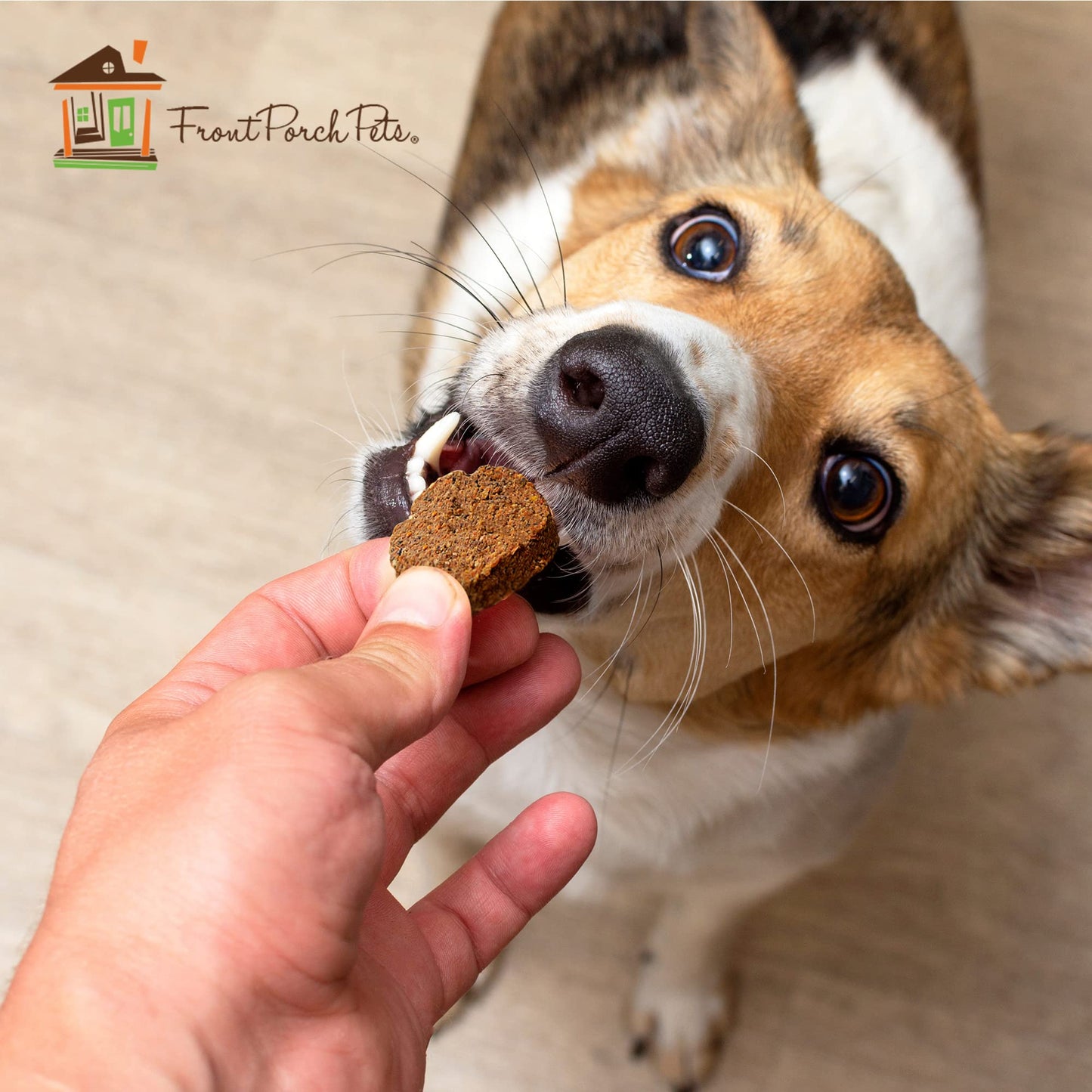 Sams Yams Sweet Potato Dog Treats, Healthy Dog Treats for Large, Medium or Small Breed Dogs, Vegan Sweet Potato Dog Chews Made in USA - Sam's Yams DAILY's Strawberry Banana Recipe Dog Snacks, 7oz