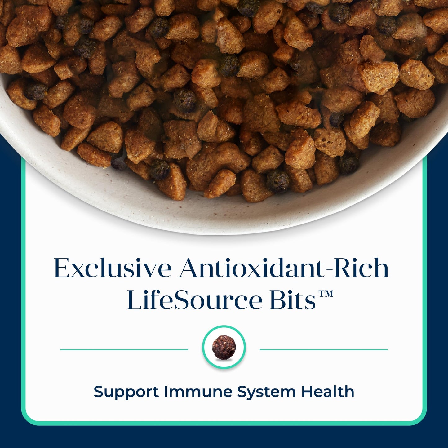 Blue Buffalo Basics Grain-Free Dry Dog Food for Small Breed Adult Dogs, Limited Ingredient Diet, Lamb Recipe, 11-lb. Bag