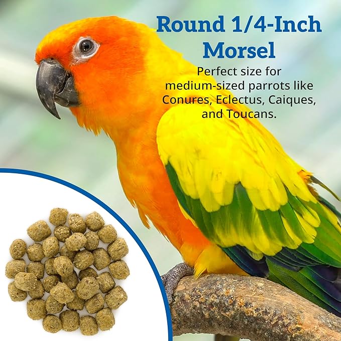 Scenic Corn Paradise Premium Parrot Food - Natural Flavors, High Protein, Low Iron Conure Bird Food, Eclectus & Other Small Pet Parrots, Omega 3, Vitamins & Minerals, 2 LB Bag