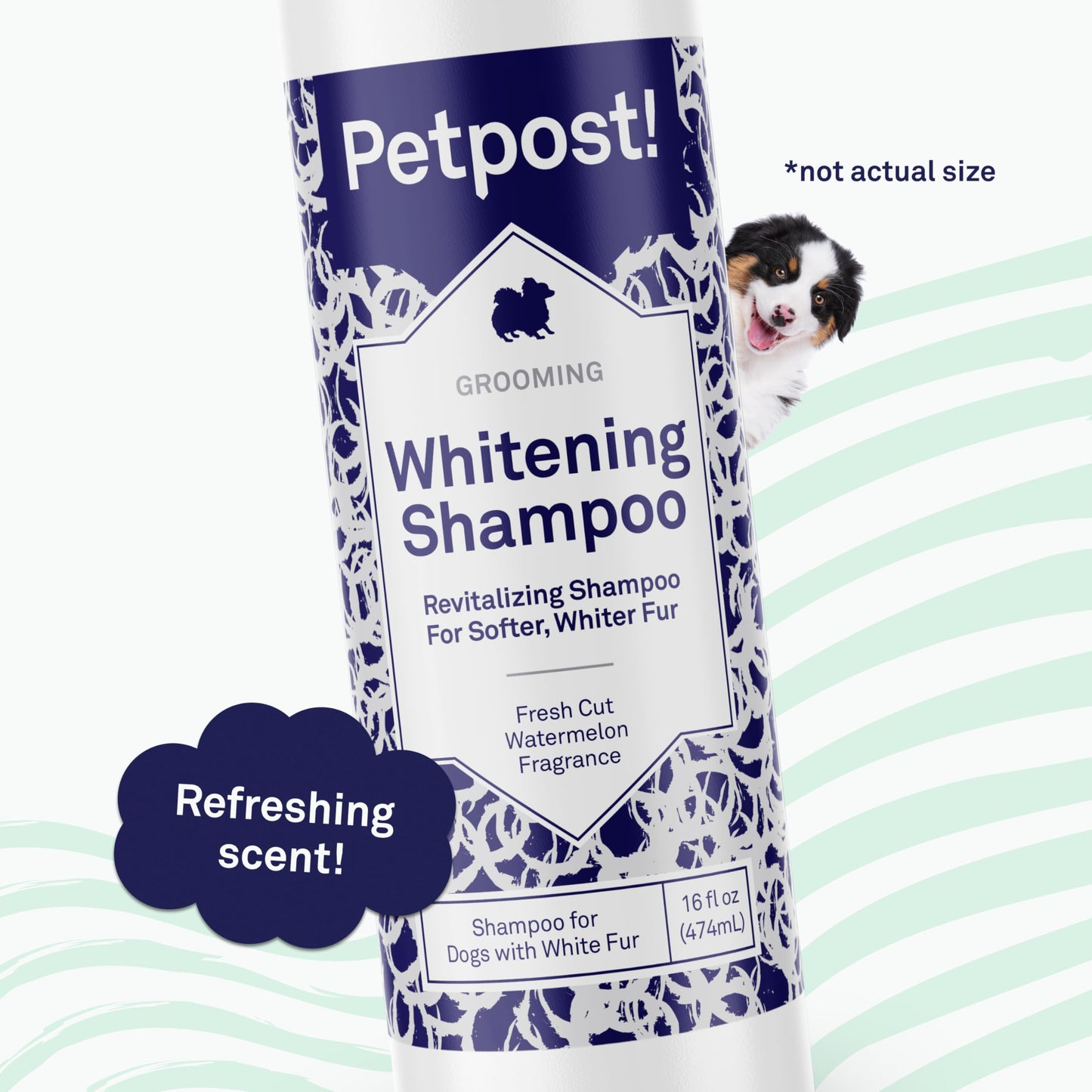 Petpost | Dog Whitening Shampoo with Coconut Oil & Aloe. Brightens White & Light Coats, Moisturizes Skin. Watermelon Scent. 16 oz