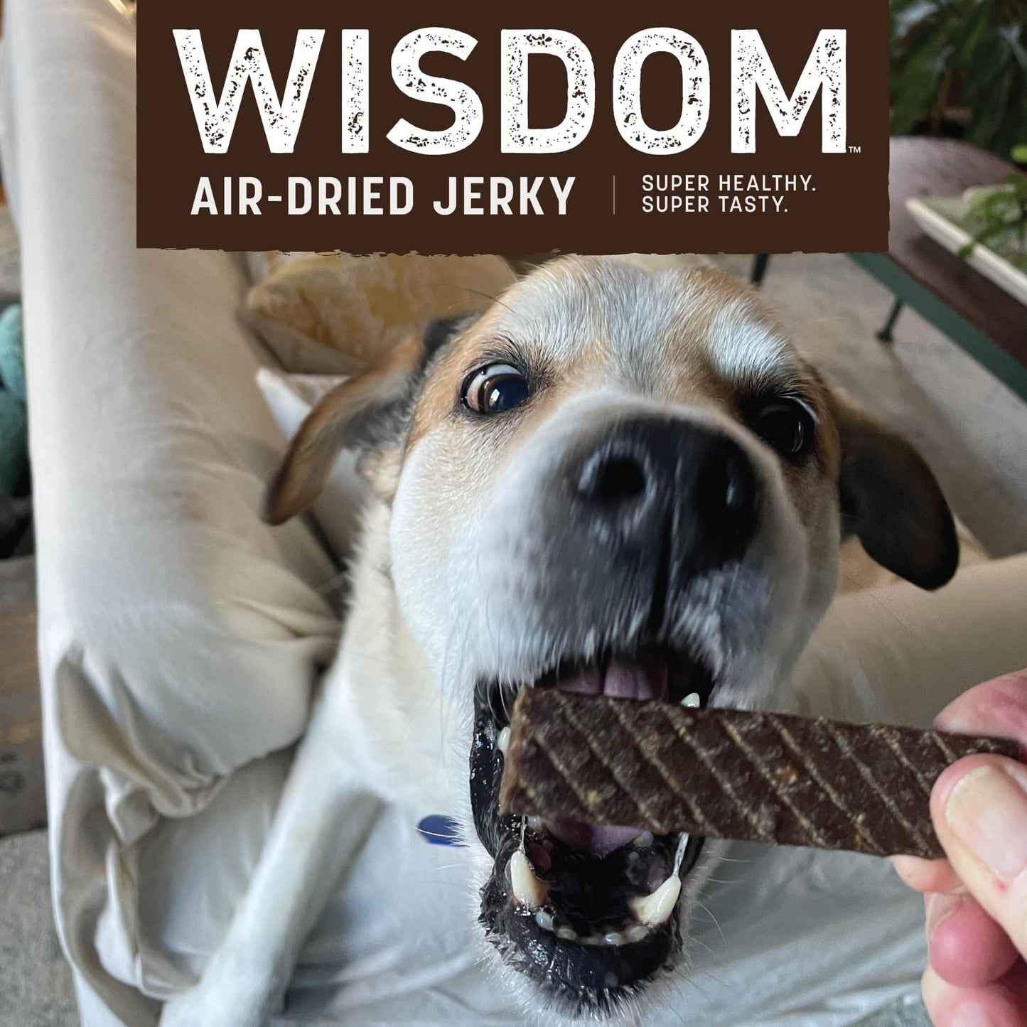 Earth Animal Wisdom Air-Dried from The Air Recipe Premium Natural Jerky Strips Dog Treats, 4 oz. Bag