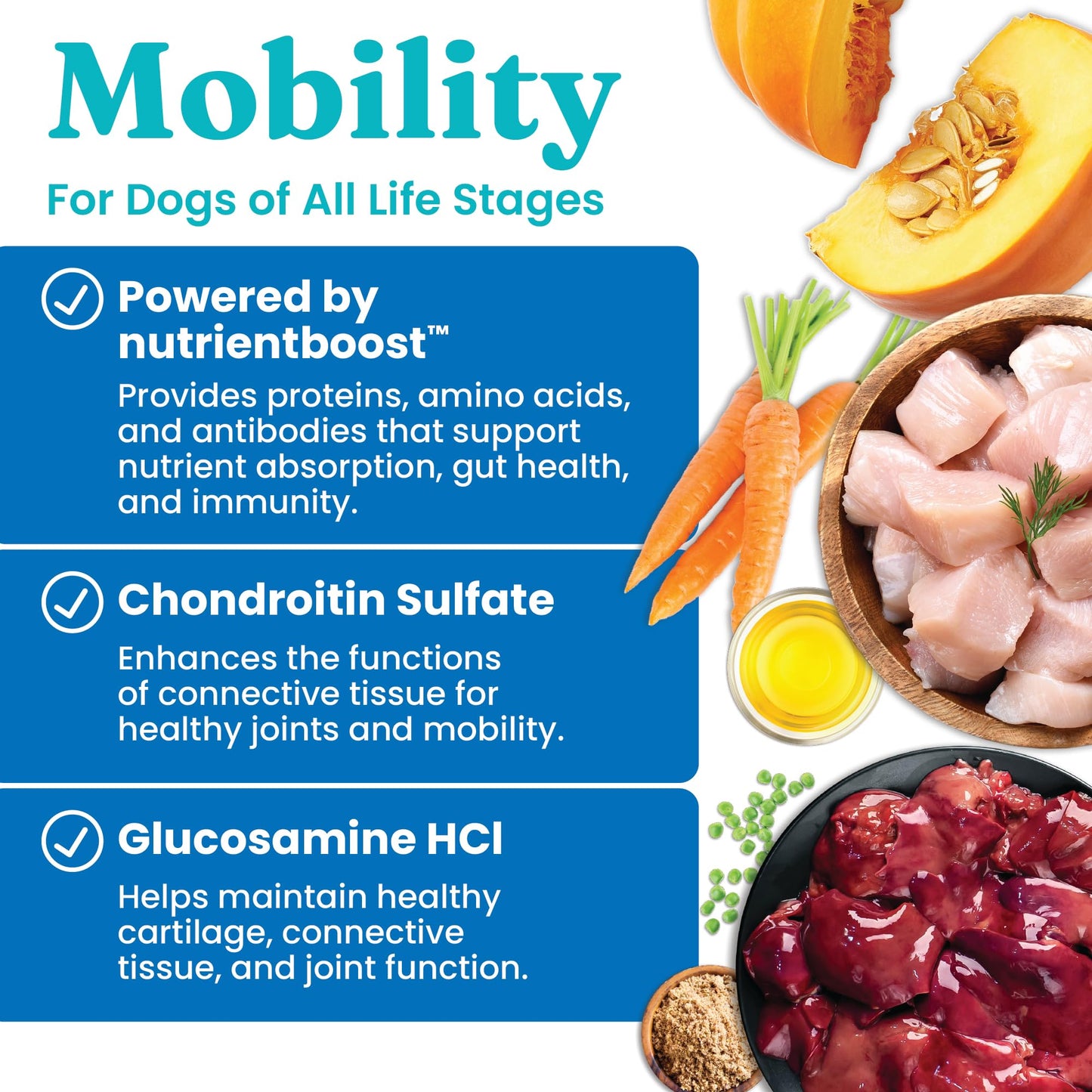 Solid Gold Healthy Dog Treats - Functional Chicken Dog Treat w/Glucosamine Chondroitin for Mobility & Joint Support - Training Treats for Dogs w/Salmon Oil & Superfoods - All Ages & Sizes - 5.2oz