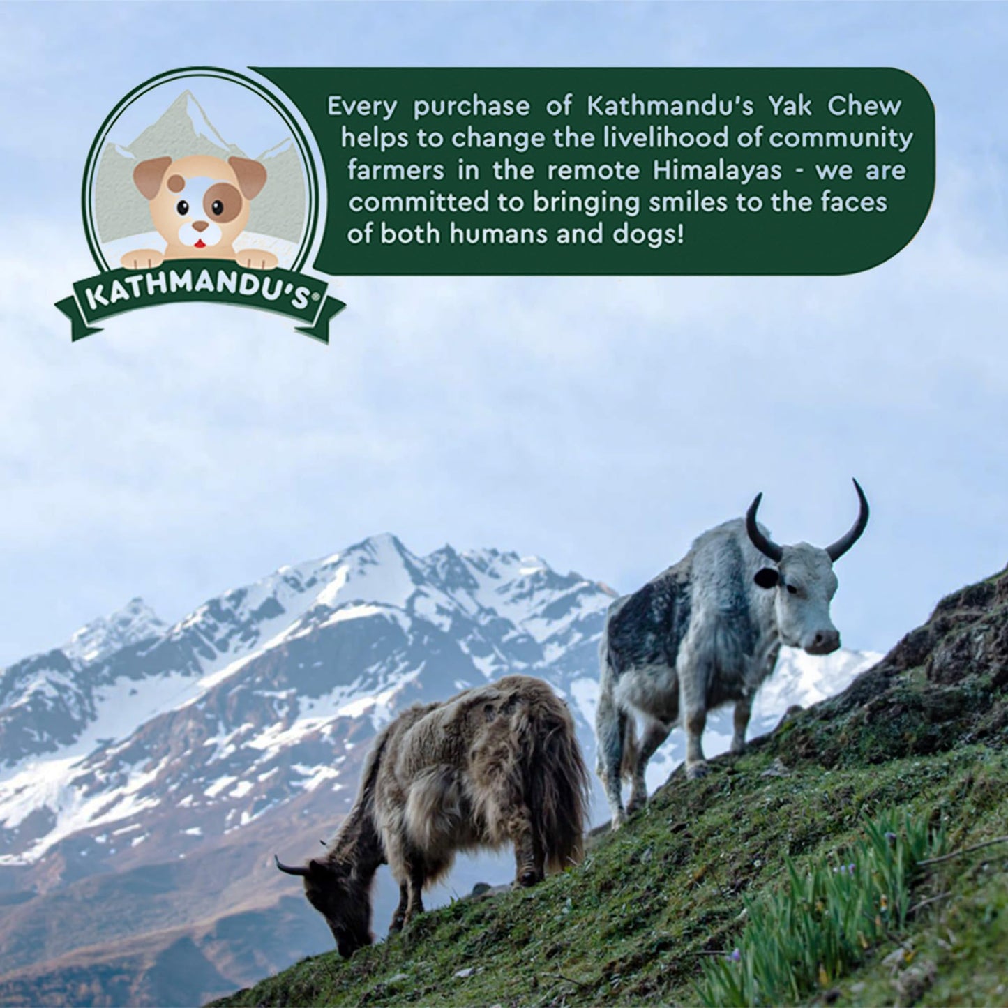 KATHMANDU'S - 100% Natural Himalayan Cheese Dog Chews - for Small Dogs (Pack of 15) - for Improved Dental Hygiene & Protein-Rich Nutrition, No Preservatives