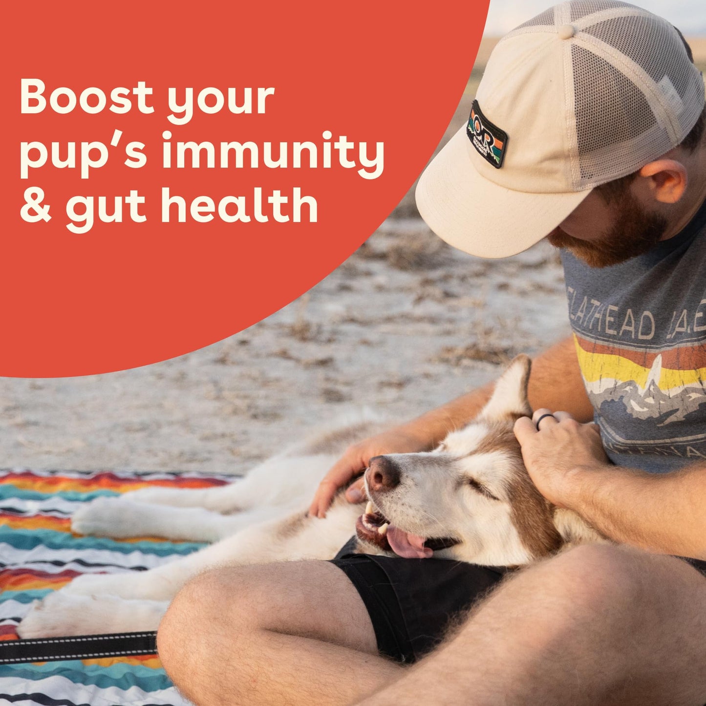 Pupford Gut Health & Immunity Supplement for Puppies and Adult Dogs, Made in The USA, Vet Approved, No Artificial Flavors, Peanut Butter and Jelly, Net Wt. 6.3 oz (180g)
