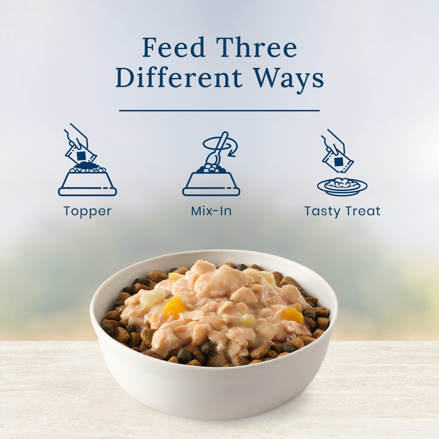 Blue Buffalo Basics Skin & Stomach Care Natural Wet Dog Food Topper, Salmon in Gravy 2.5oz Pouch (12 Pack)