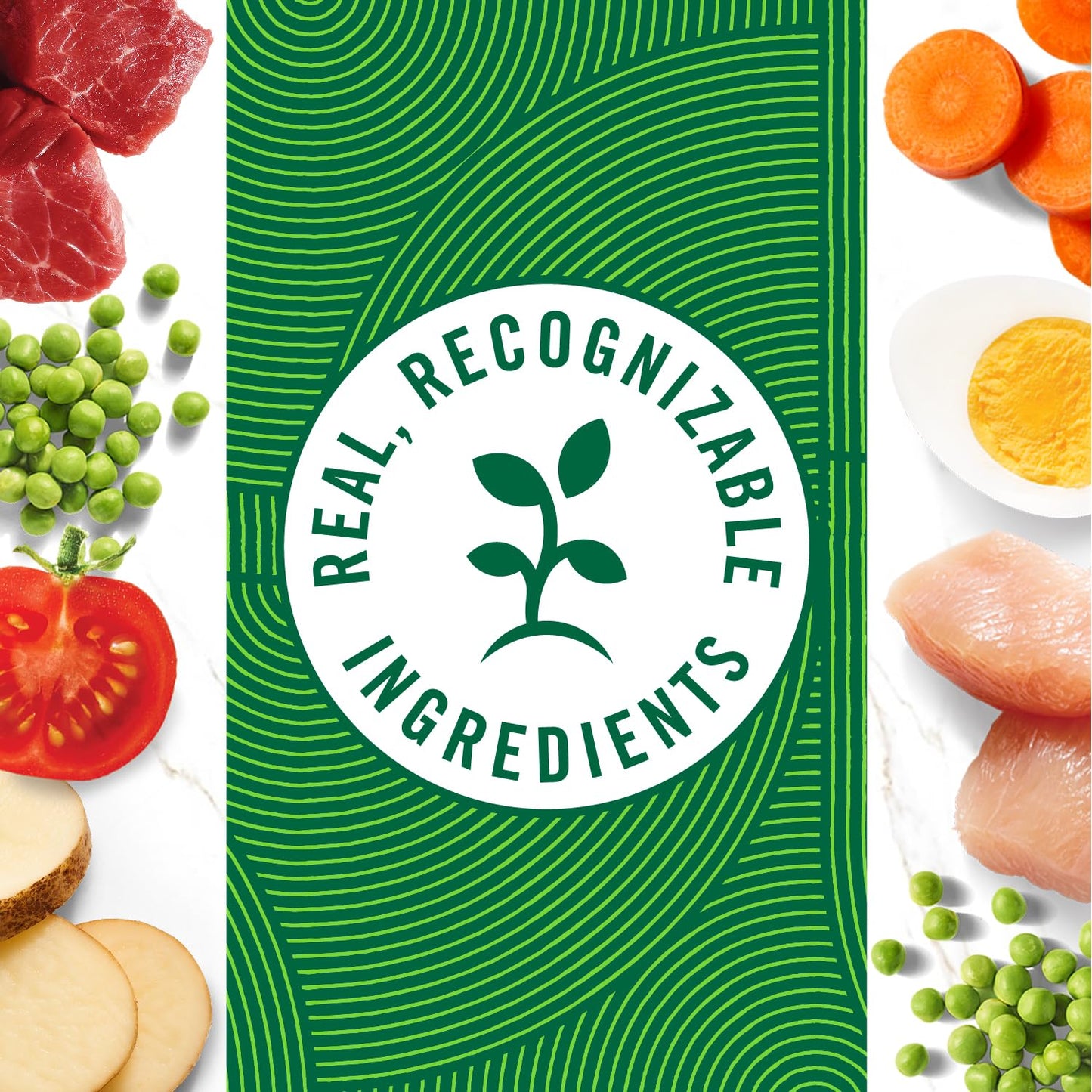 Nutro Natural Choice Cuts in Gravy Wet Dog Food 4 Flavors Variety Pack, 3.5 oz. Trays (24 Count, Pack of 1)