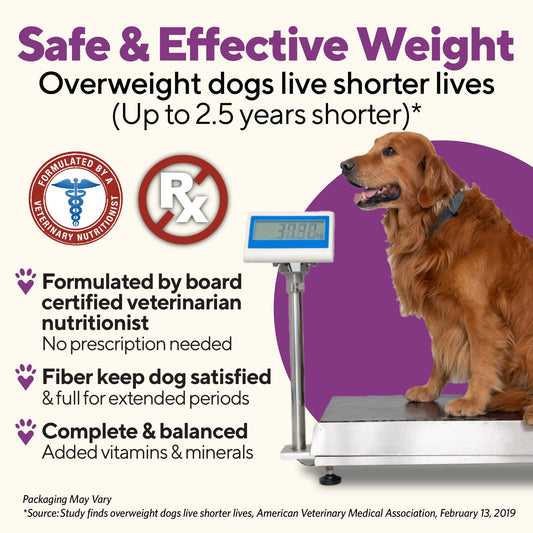 Dave's Pet Food Weight Management Dog Food (Turkey & Vegetables), Made in USA, Weight Loss, Soft, Canned Wet, 13.2oz (12 Pack)