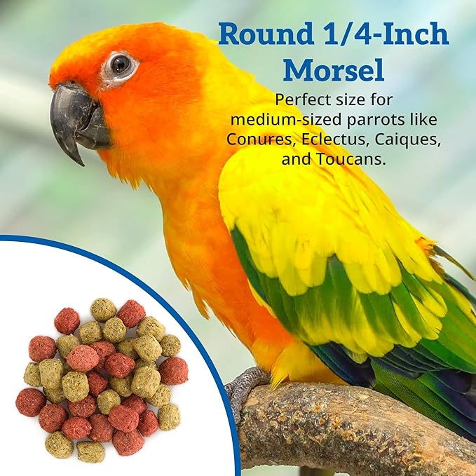 Scenic Mix Paradise Premium Parrot Food - Apple & Natural Flavors, High Protein, Low Iron Conure Bird Food, Eclectus & Other Small Pet Parrots, Omega 3, Vitamins & Minerals, 2 LB Bag