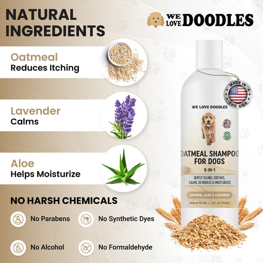 We Love Doodles 5-in-1 Premium Oatmeal Shampoo & Dog Grooming Bath Brush Bundle - Gentle for Itchy & Sensitive Skin, Provides Itch Relief, Hypoallergenic & Soothing for Dry Skin, Pet Rubber Brush