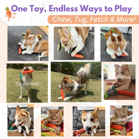 Dog Calming Diffuser with Light & 4 Refills (48ml Each) + 3PCS Orange Woven Chew Toys – 120-Day Plug-in Kit and Pet Play Set for Dogs, Cats, and Small Animals