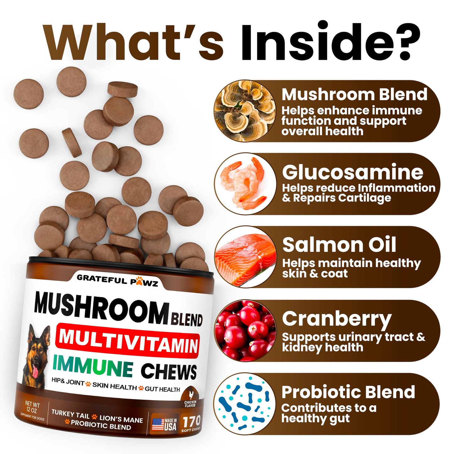 Mushroom Supplement for Dogs - 170 Chews - Mushrooms for Dogs - Turkey Tail, Reishi, Lion’s Mane, Glucosamine Multivitamin - Immune Booster, Gut, Hip & Joint Health Support Vitamins, Energy & Skin