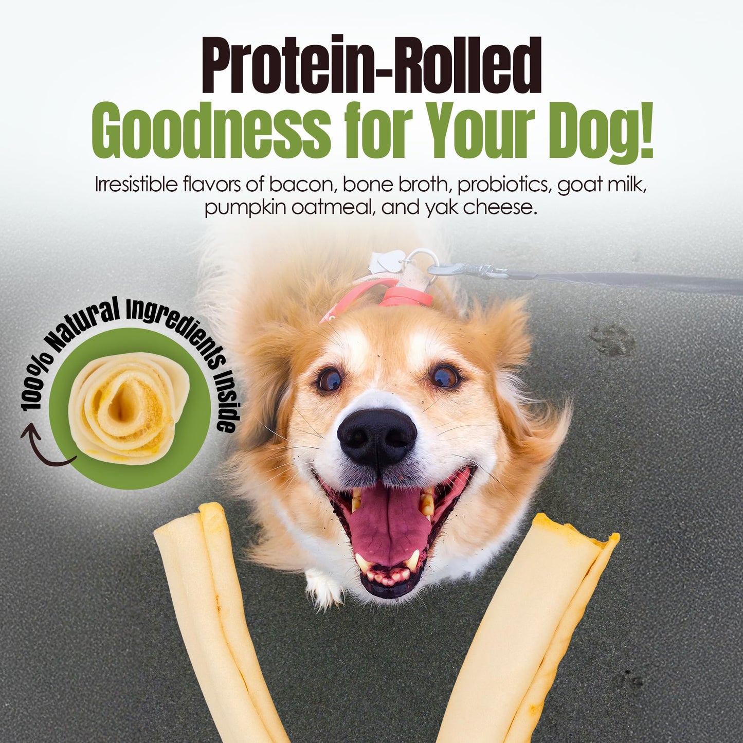 Palz&Co Moodog Beef Corium Collagen Roll 11" Bacon Flavor - 100% Natural Dog Treat, Grain-Free, High Protein, Made in USA, Long Lasting Chew