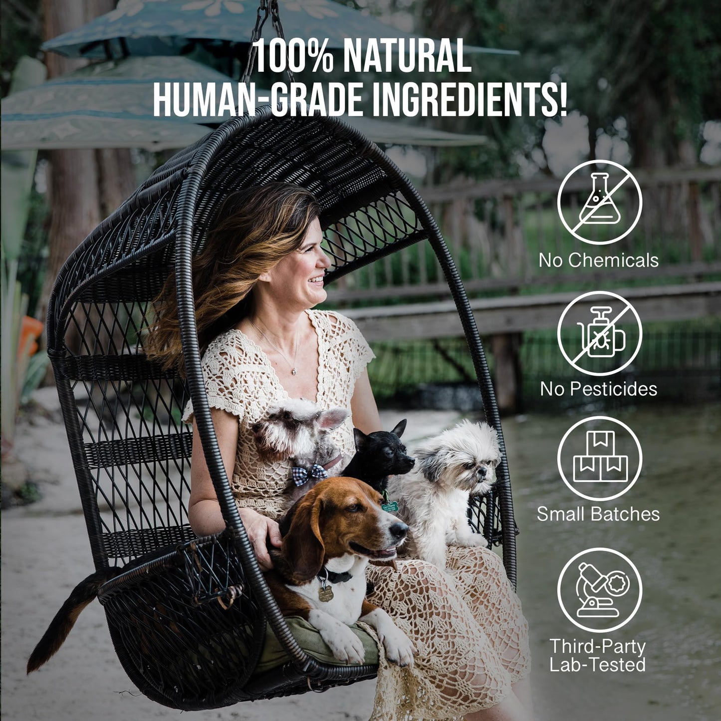 Hemp Dog Health Calm - Pet Hemp Oil for Dogs - Pet Stress Relief & Relaxation - Fireworks, Thunder, Travel, & Separation Support - Natural Dog Calming Drops