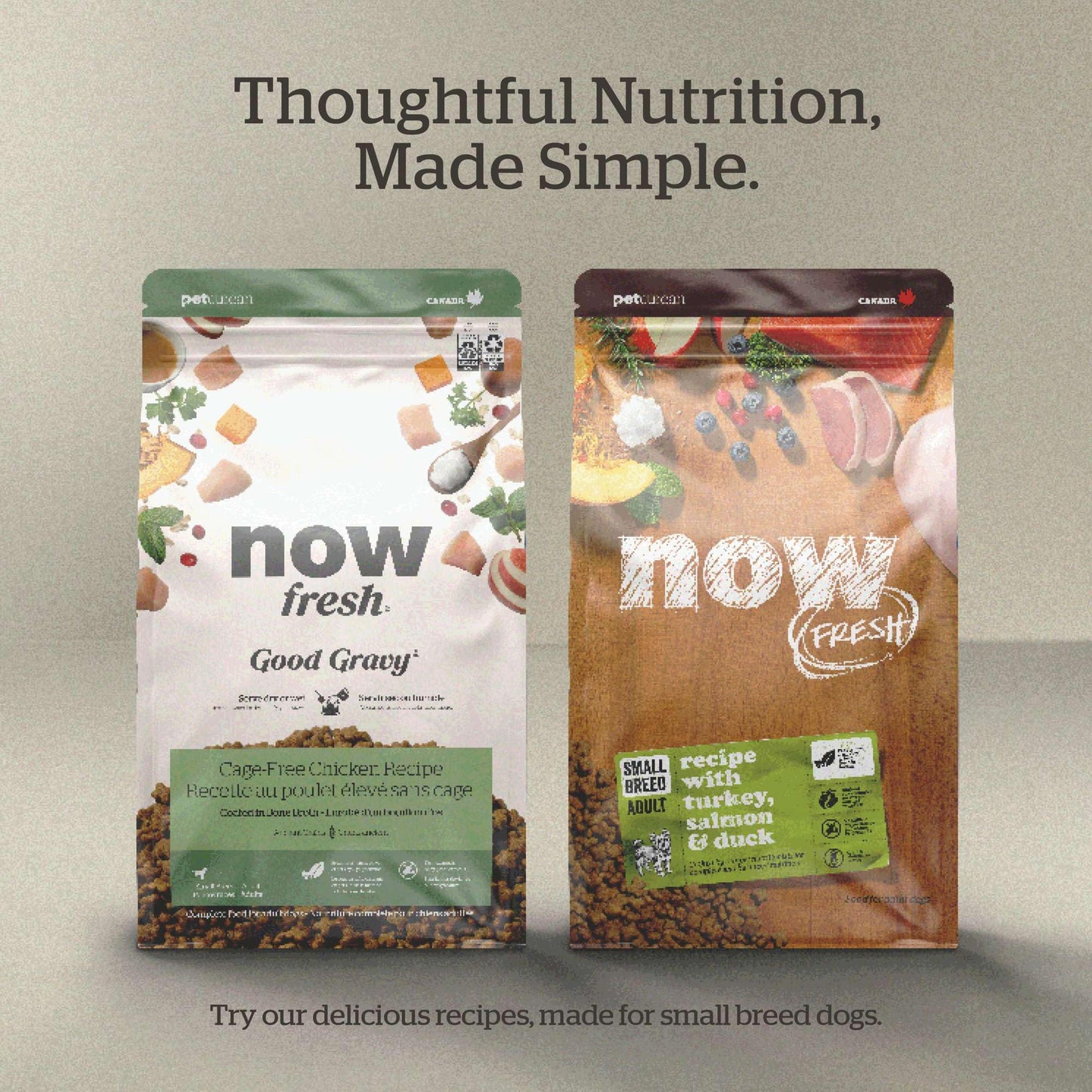 Now Fresh Good Gravy Premium Dry Dog Food with Salmon & Ancient Grains for Small Breeds, Healthy Kibble for Adults Coated in Bone Broth – Just Add Water to Moisten, Chicken-Free, 3.5 lb Bag