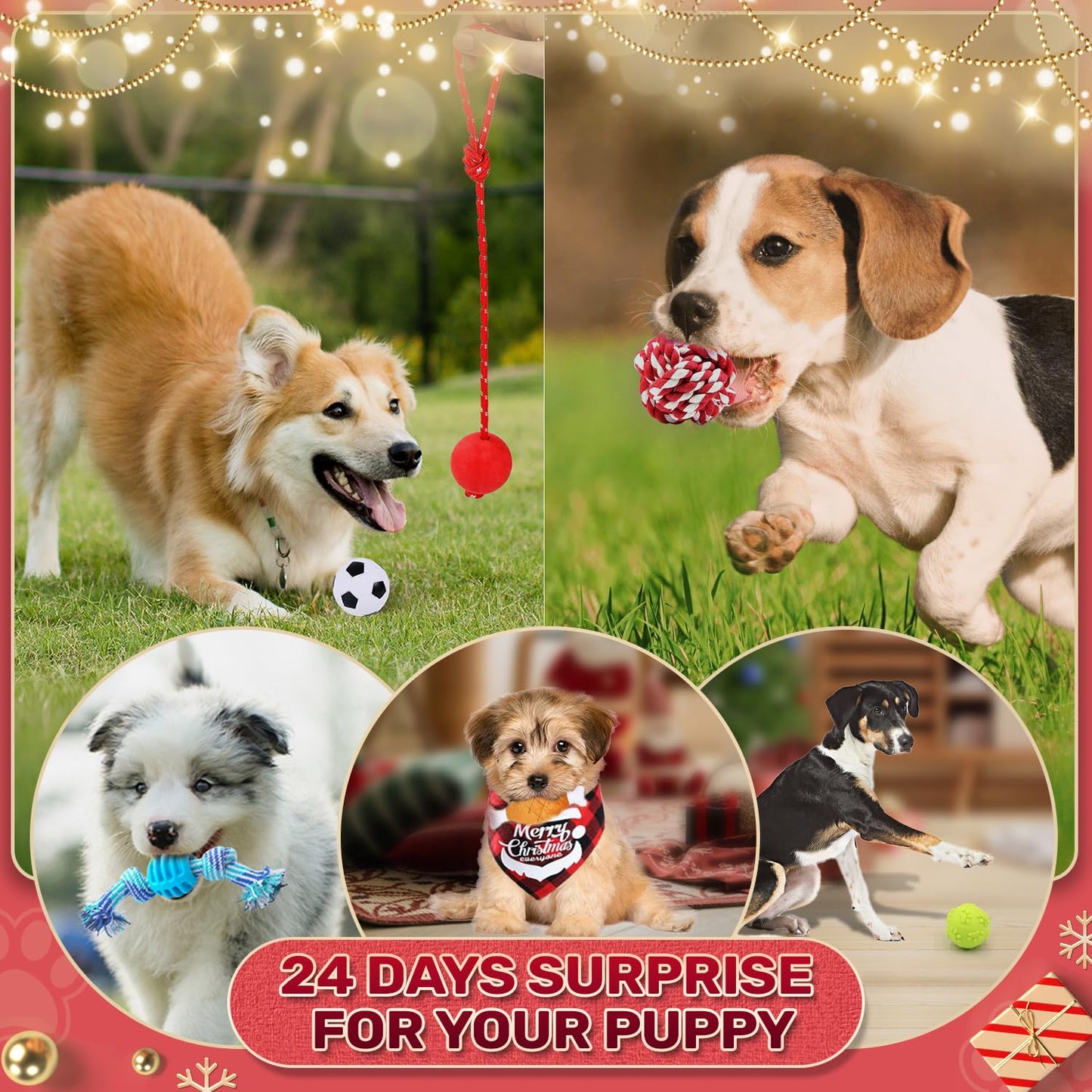 Dog Advent Calendar 2024, Christmas Dog Toys with Chew Ropes Squeaky Balls Teething Toys Dog Bow Tie Collars Bandana, 24 Set Christmas Countdown Calendar Gift for Dog Puppy